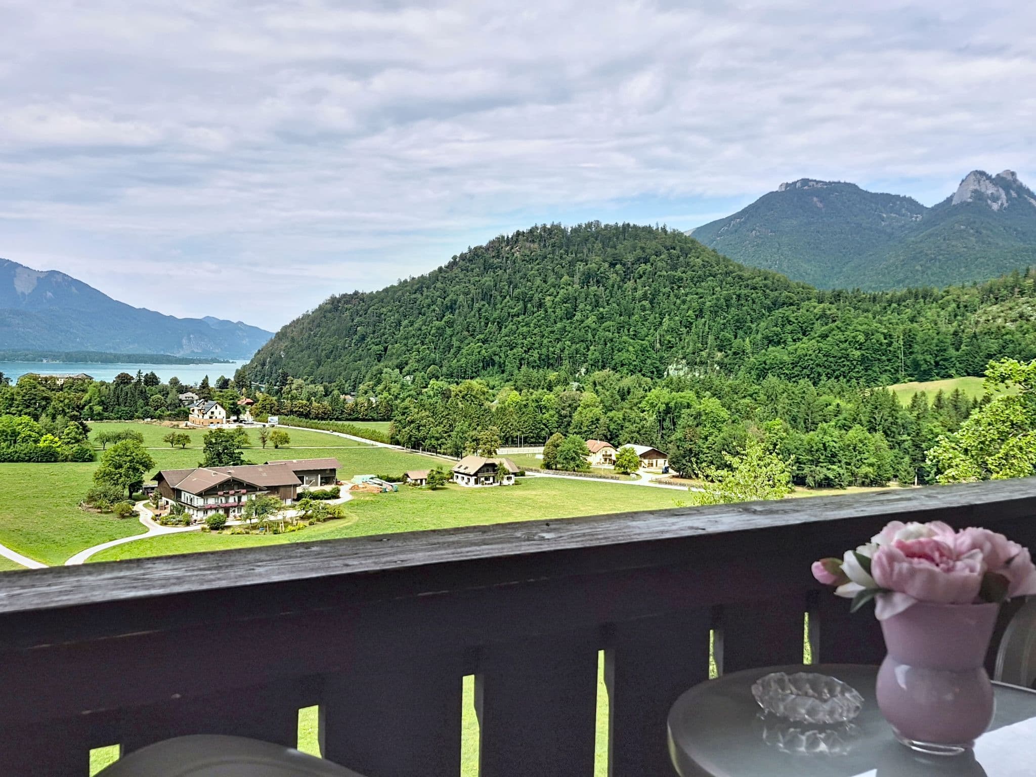 View