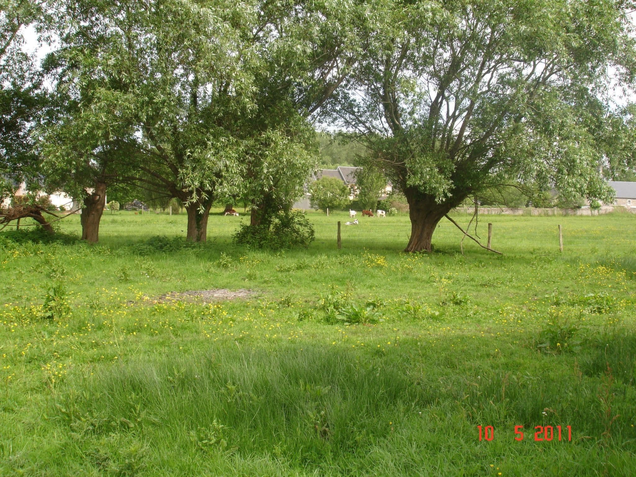 Gallery Image 13