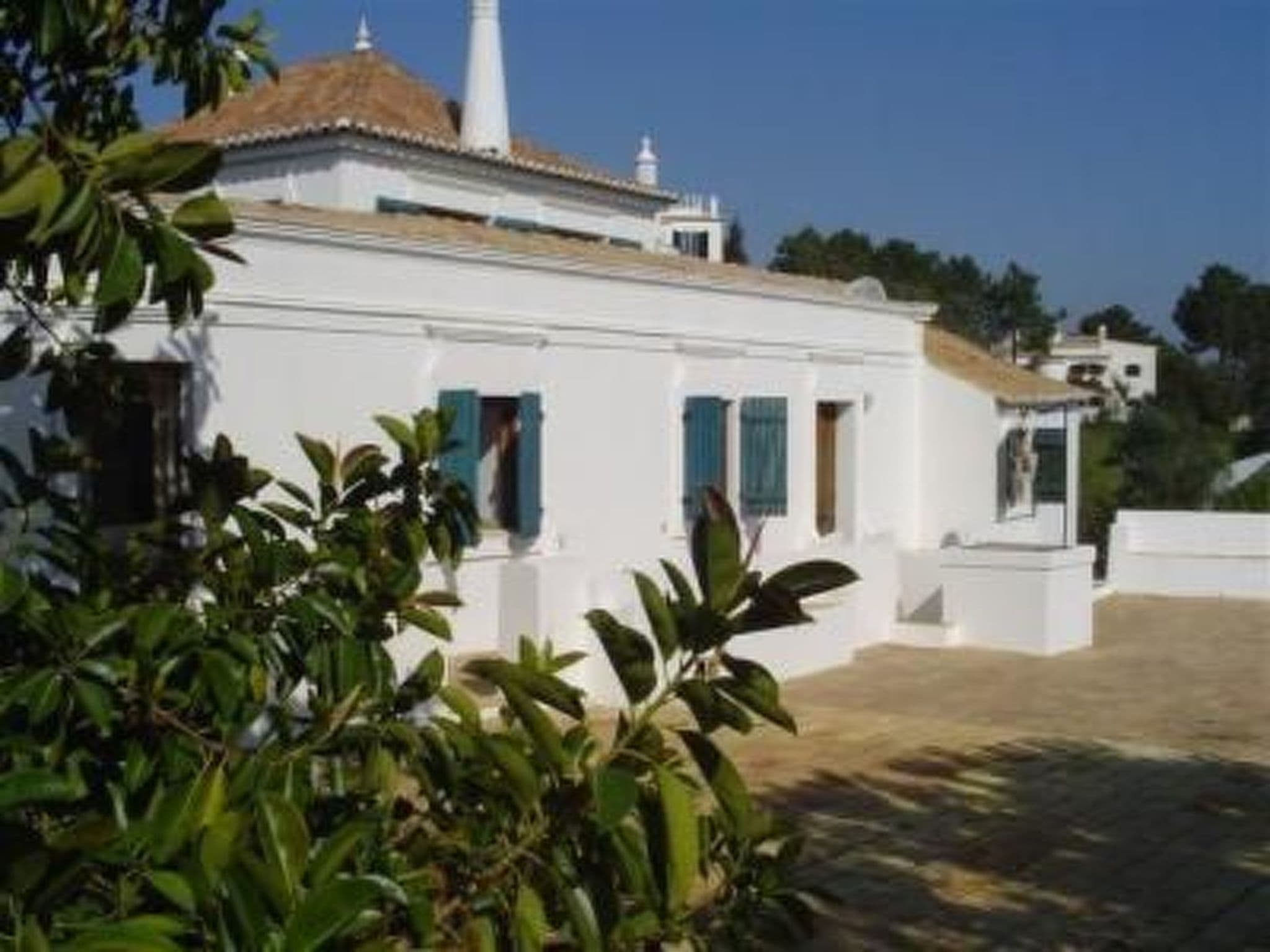 Gallery Image 10