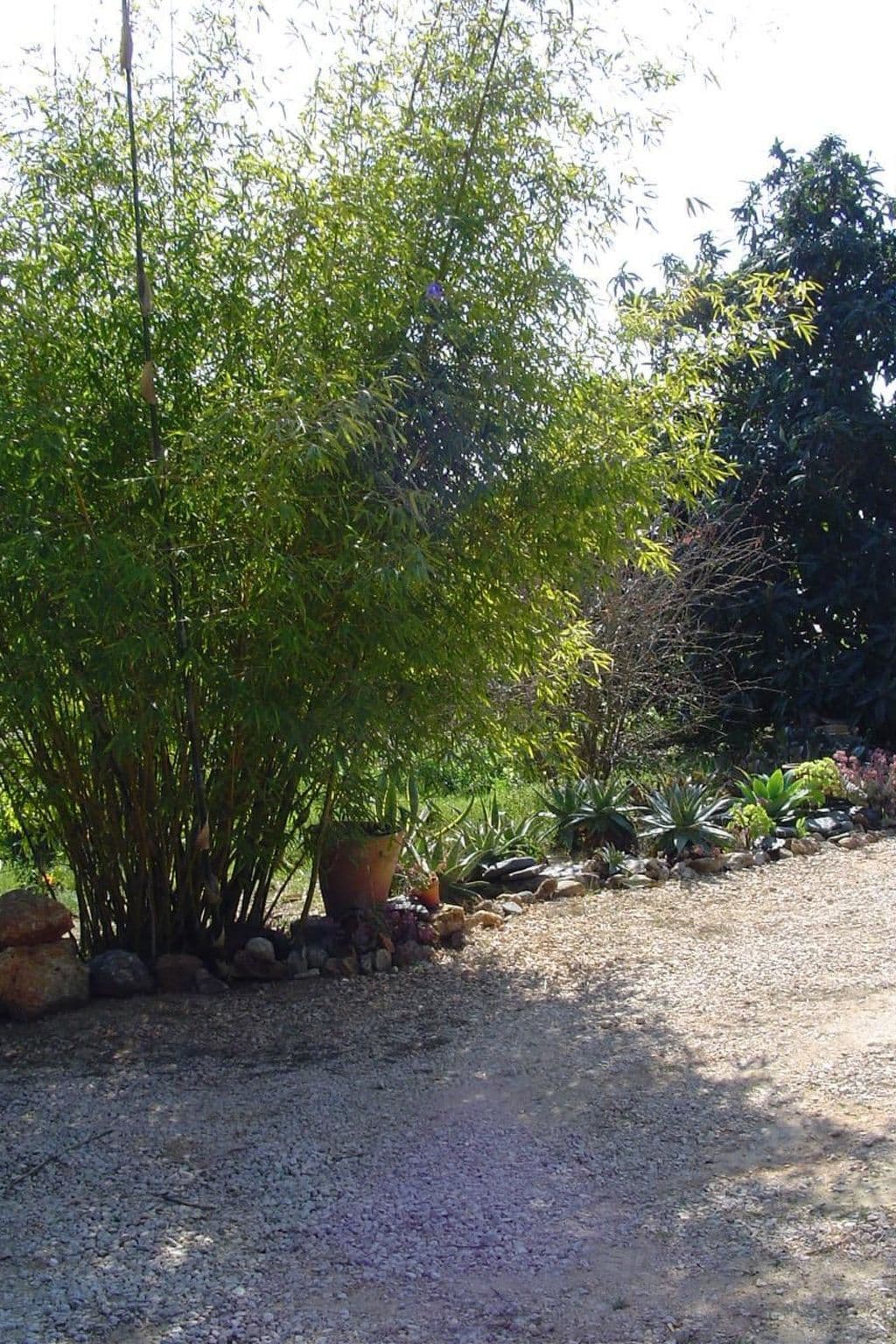 Gallery Image 26
