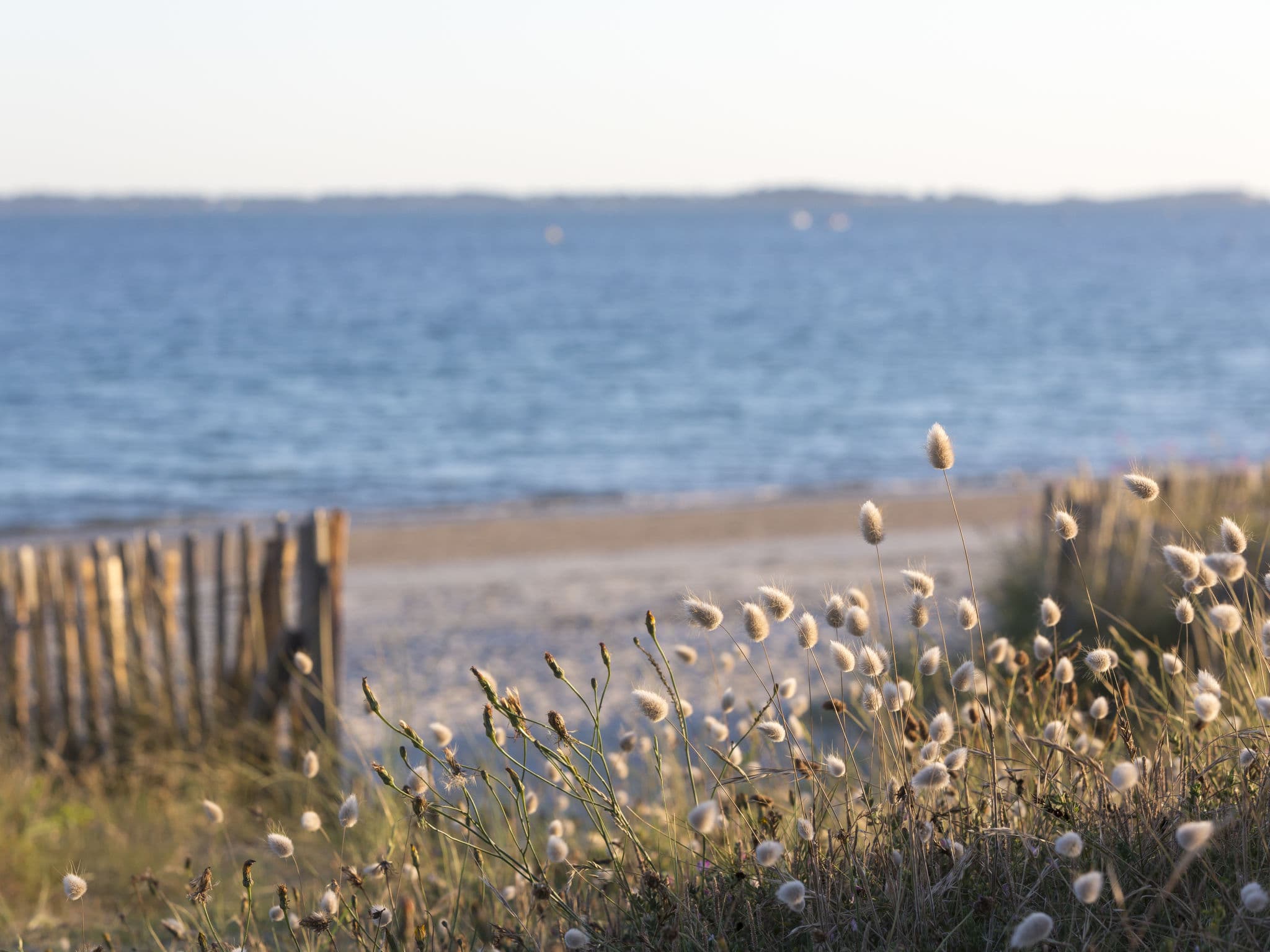 Place