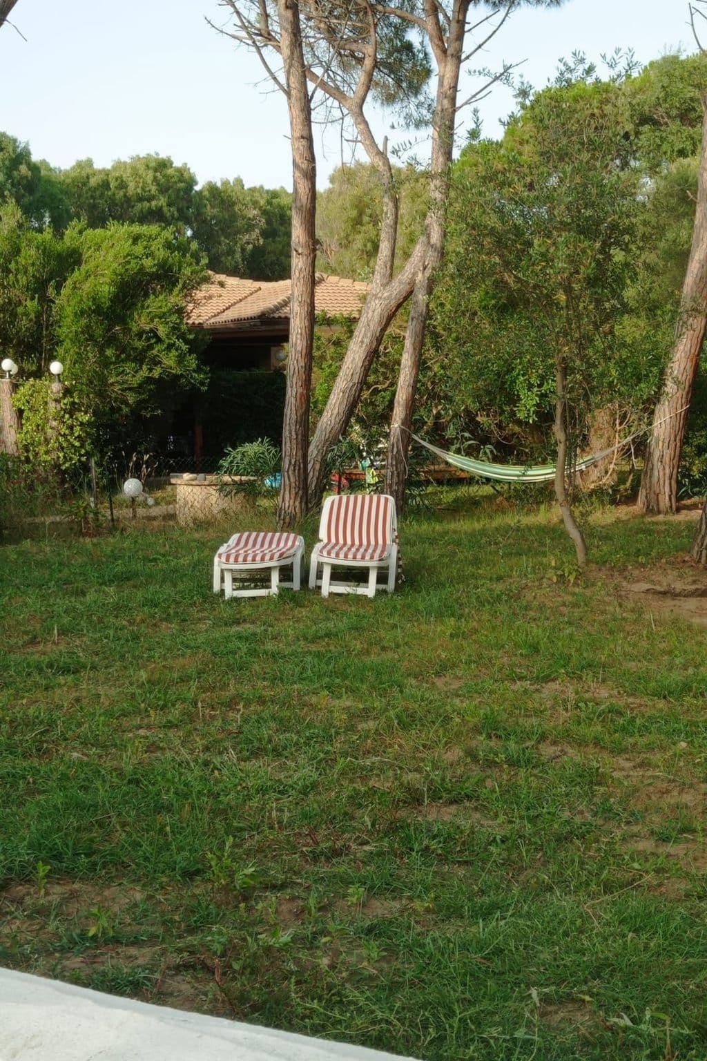 Gallery Image 22