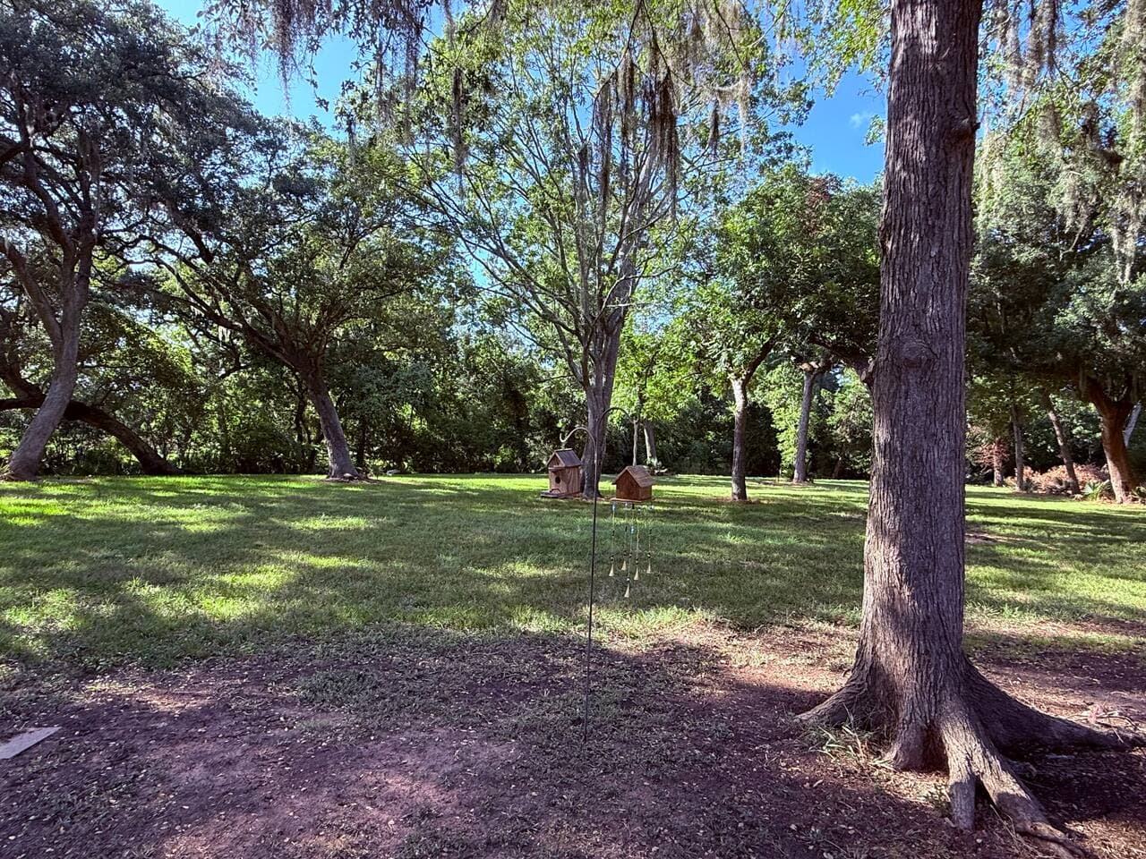 Gallery Image 28