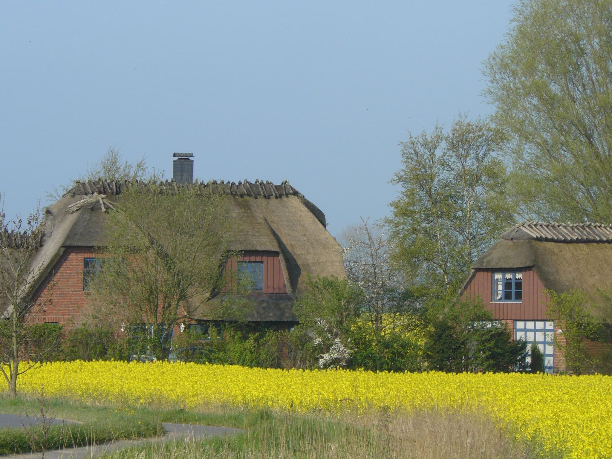 Gallery Image 28