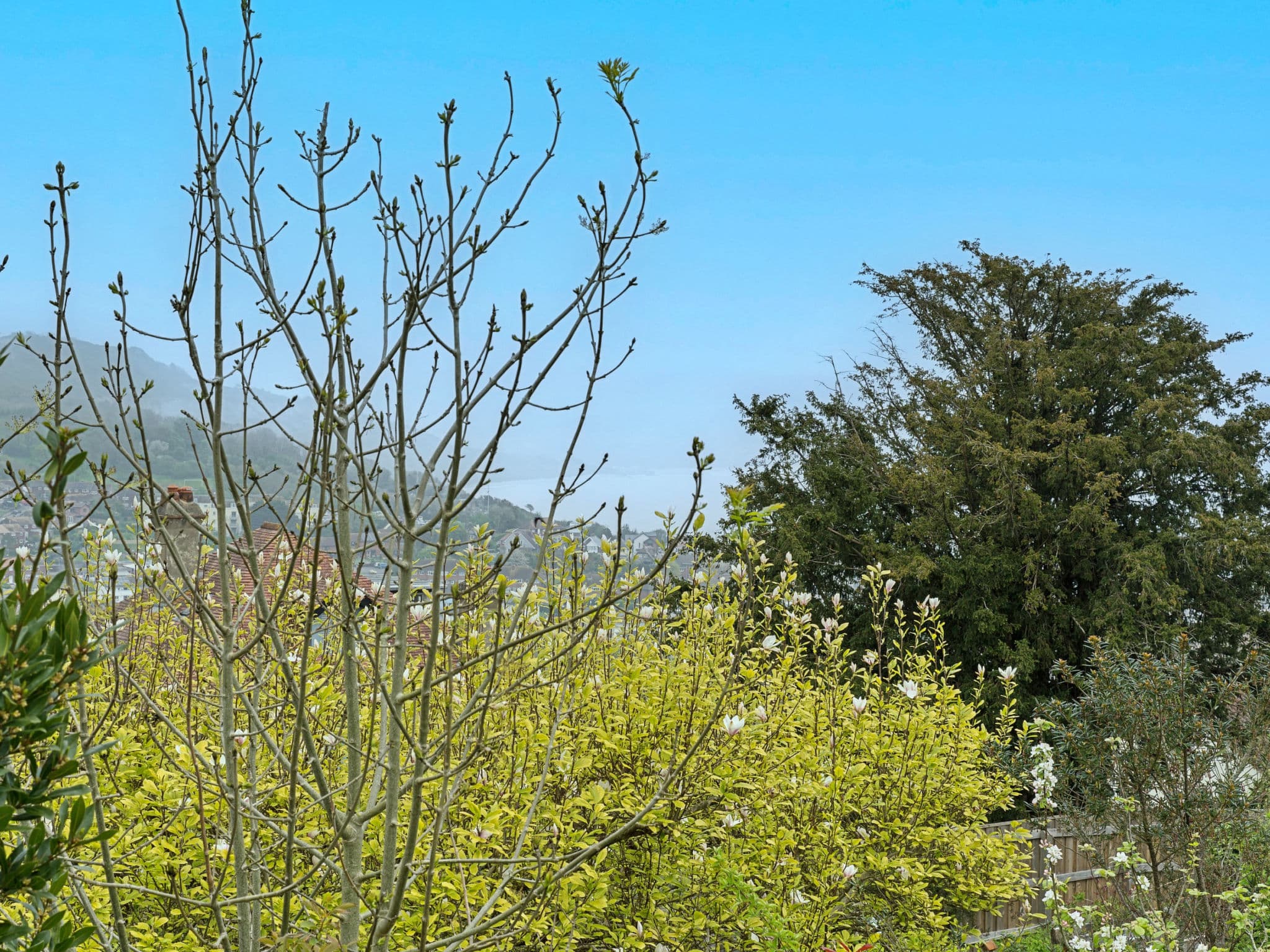 View
