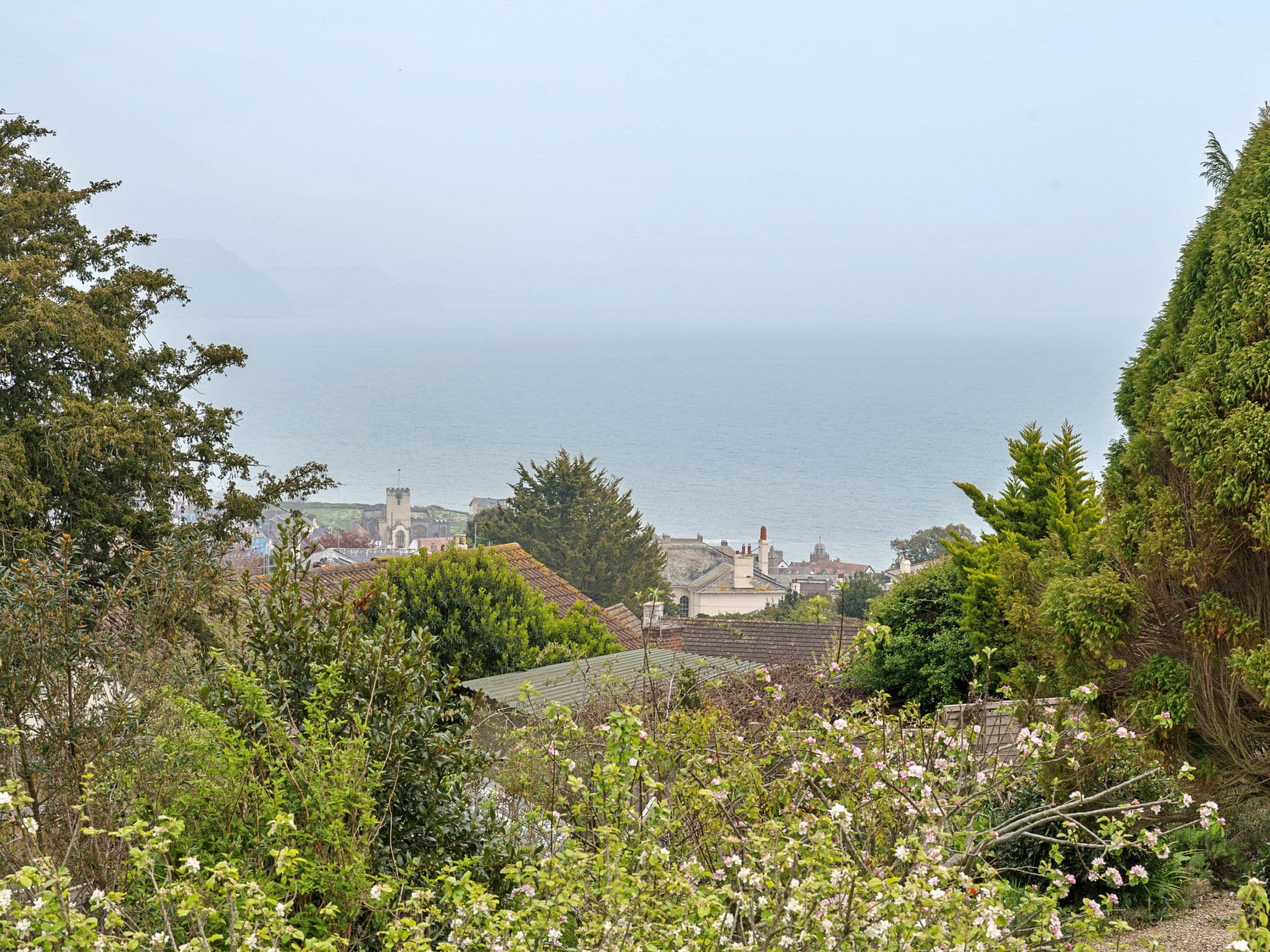 View