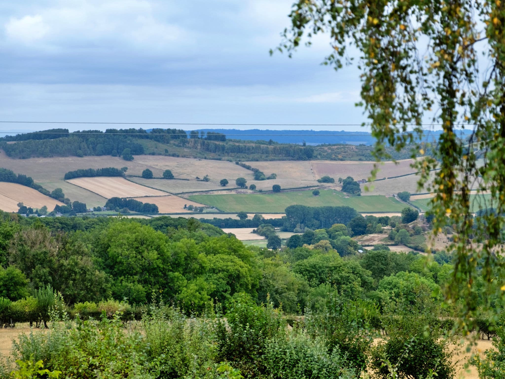 View