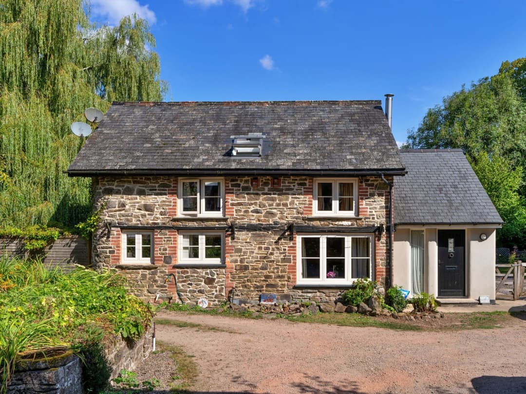Large Image