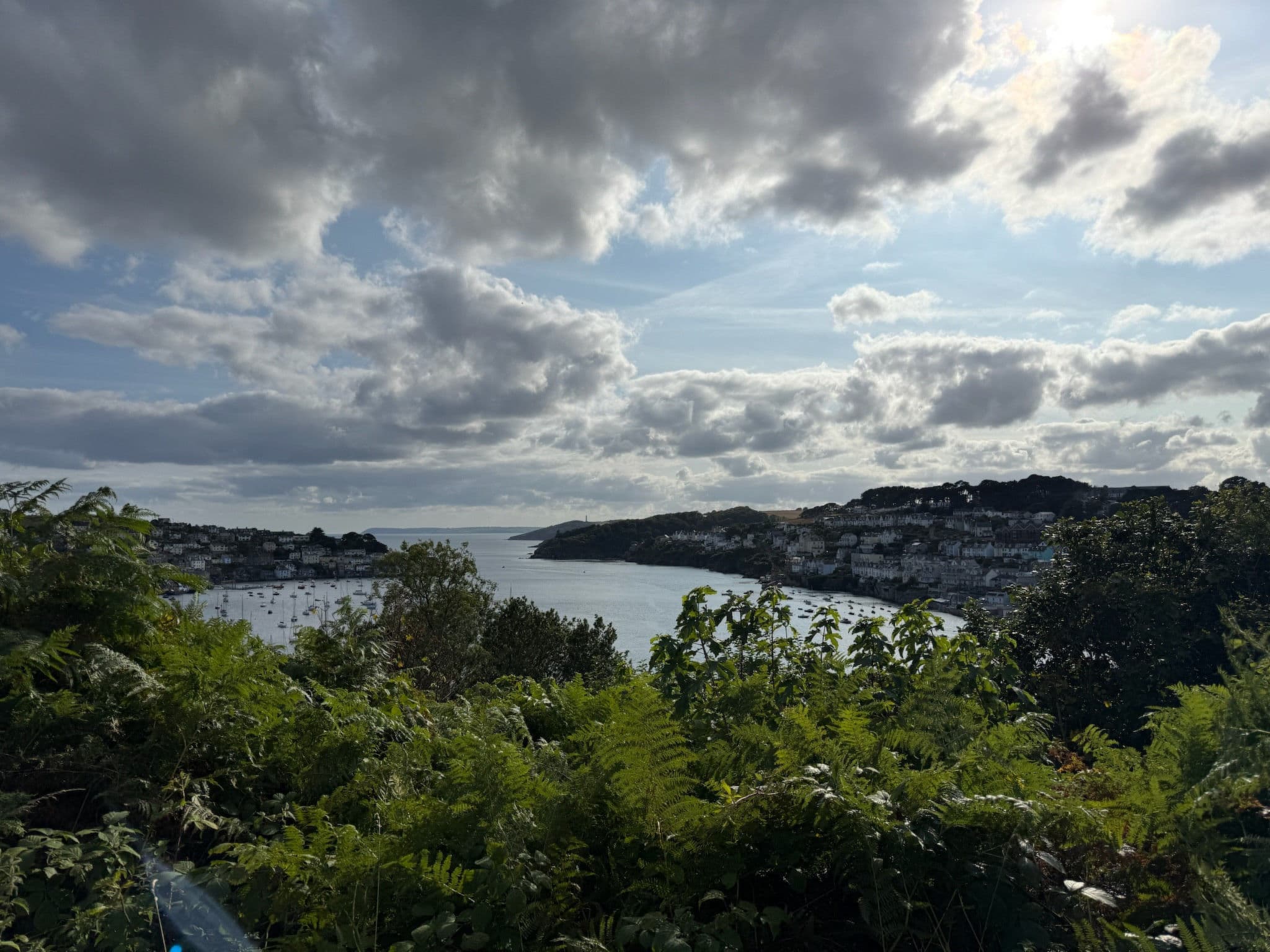 View