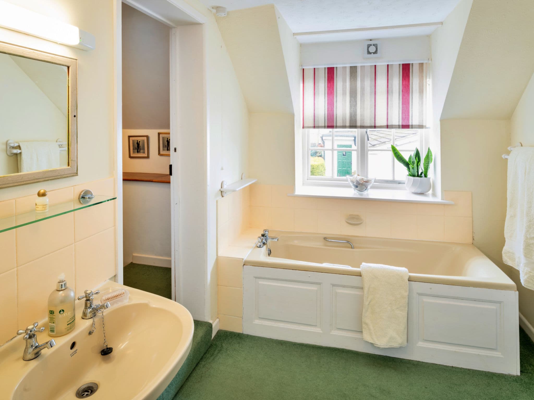 Bathroom / Wellness