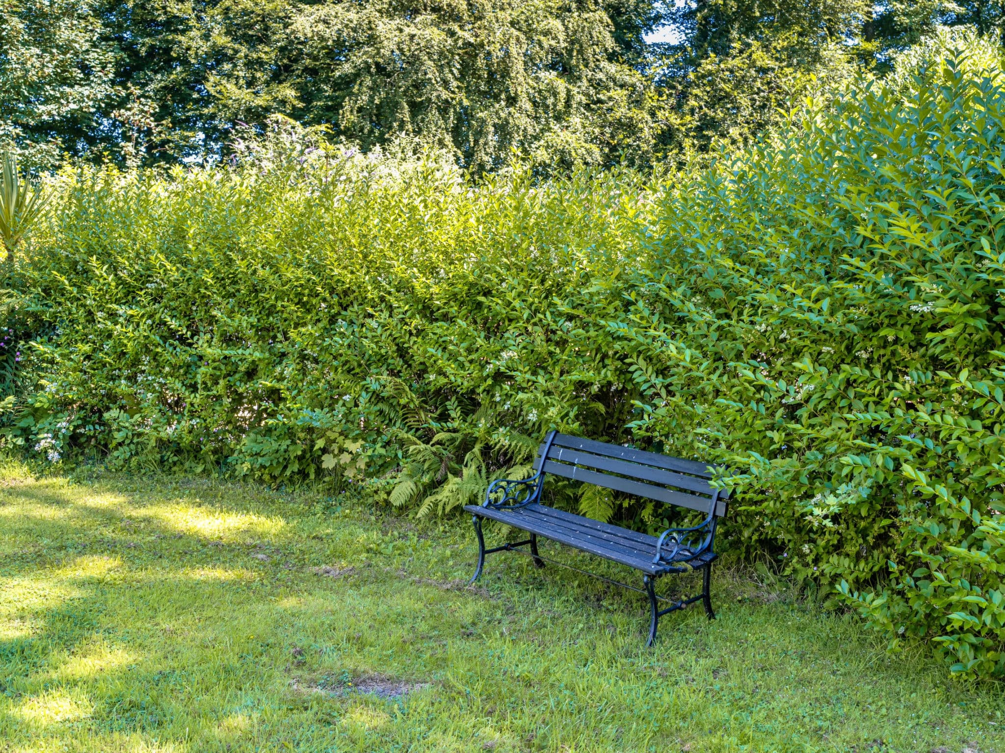 Outdoor