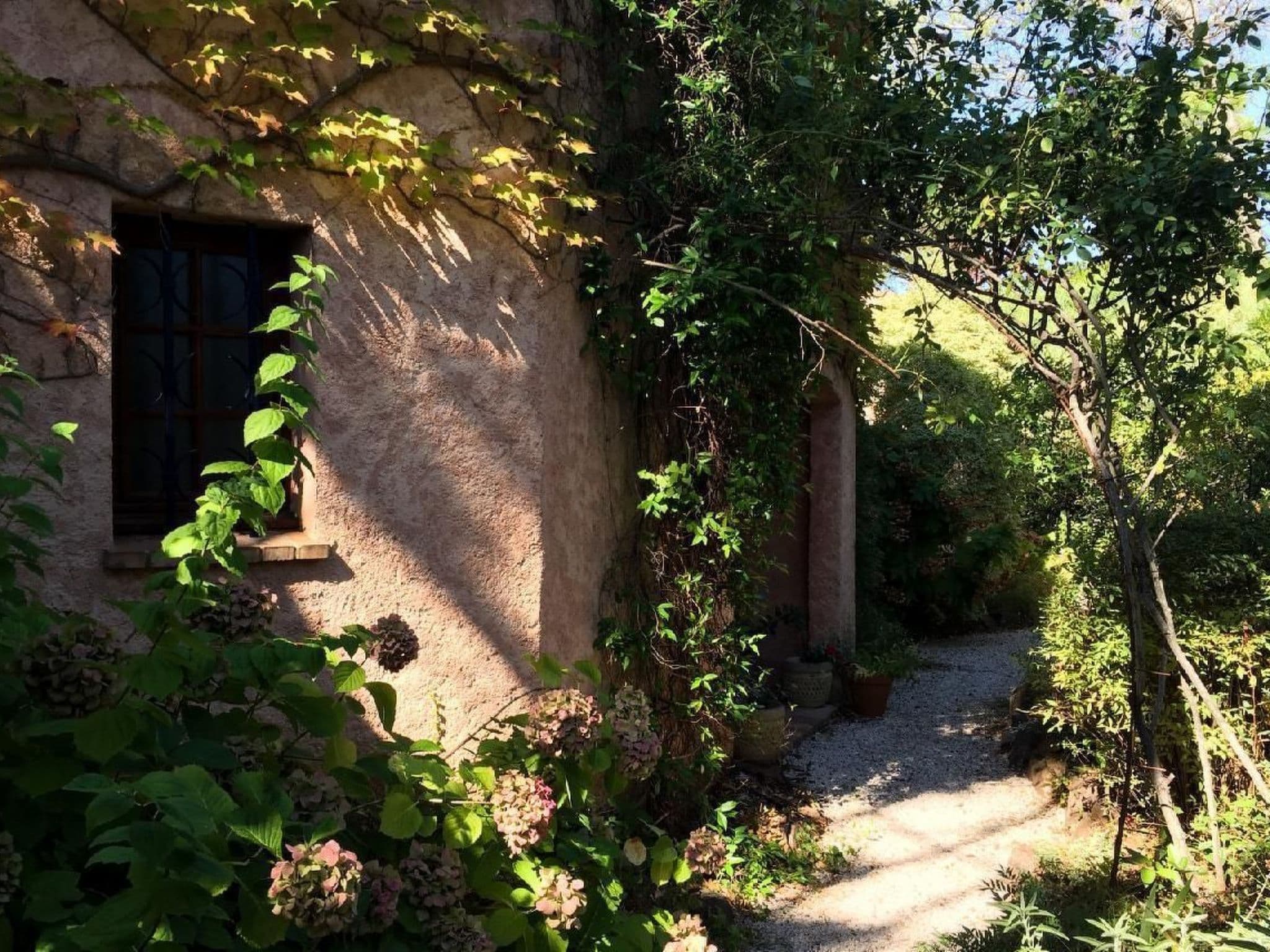 Gallery Image 28