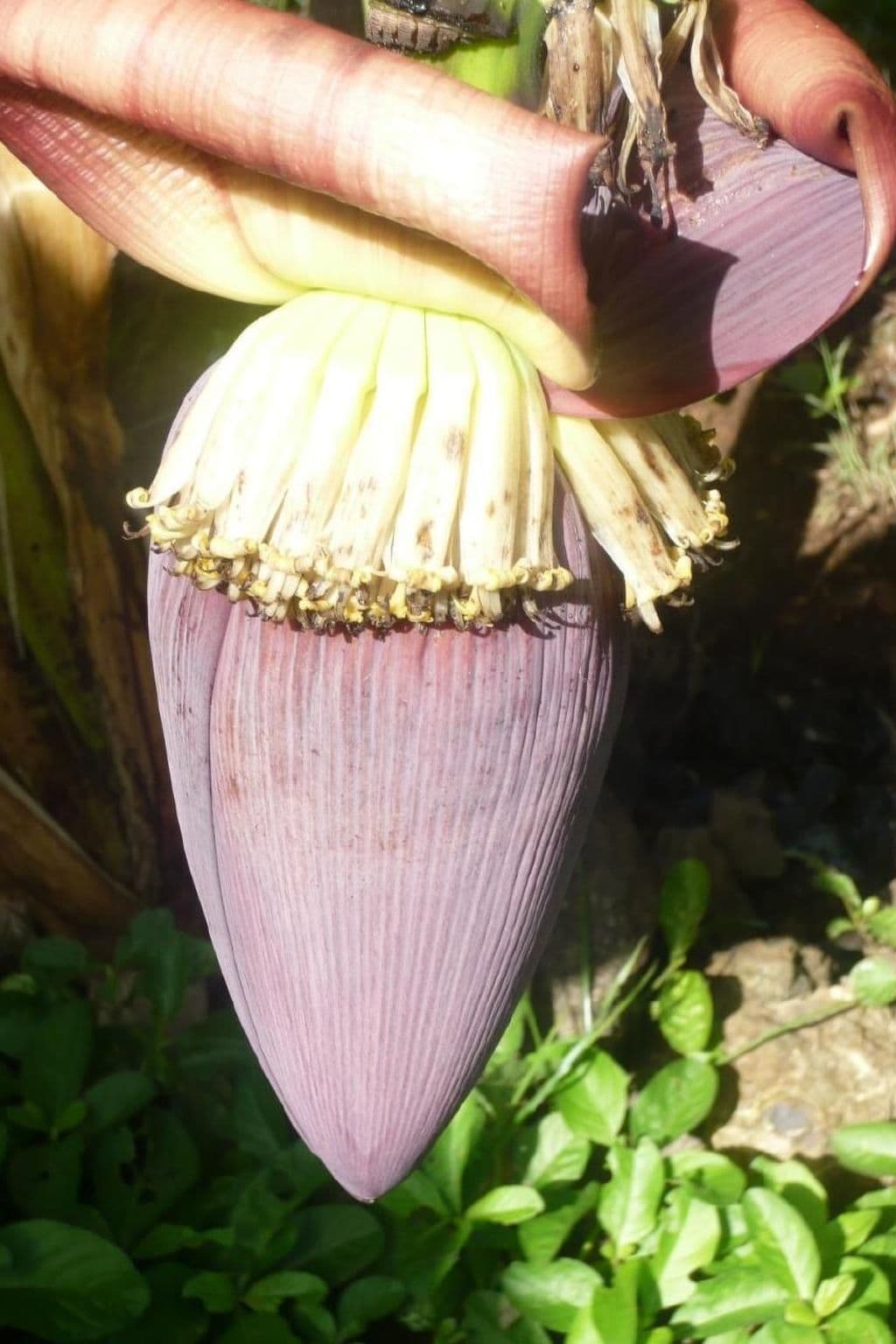 Gallery Image 13