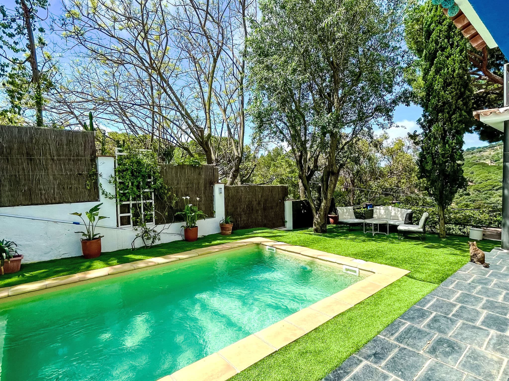 Pool Outdoor