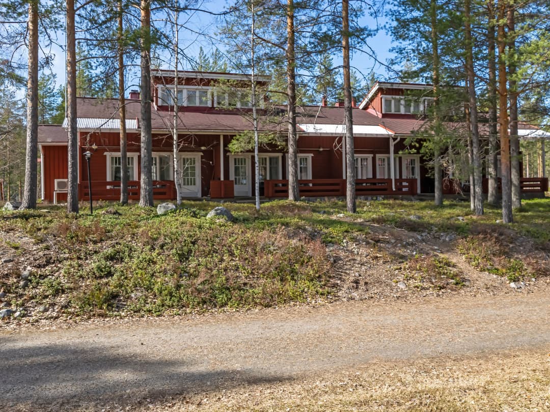 Large Image
