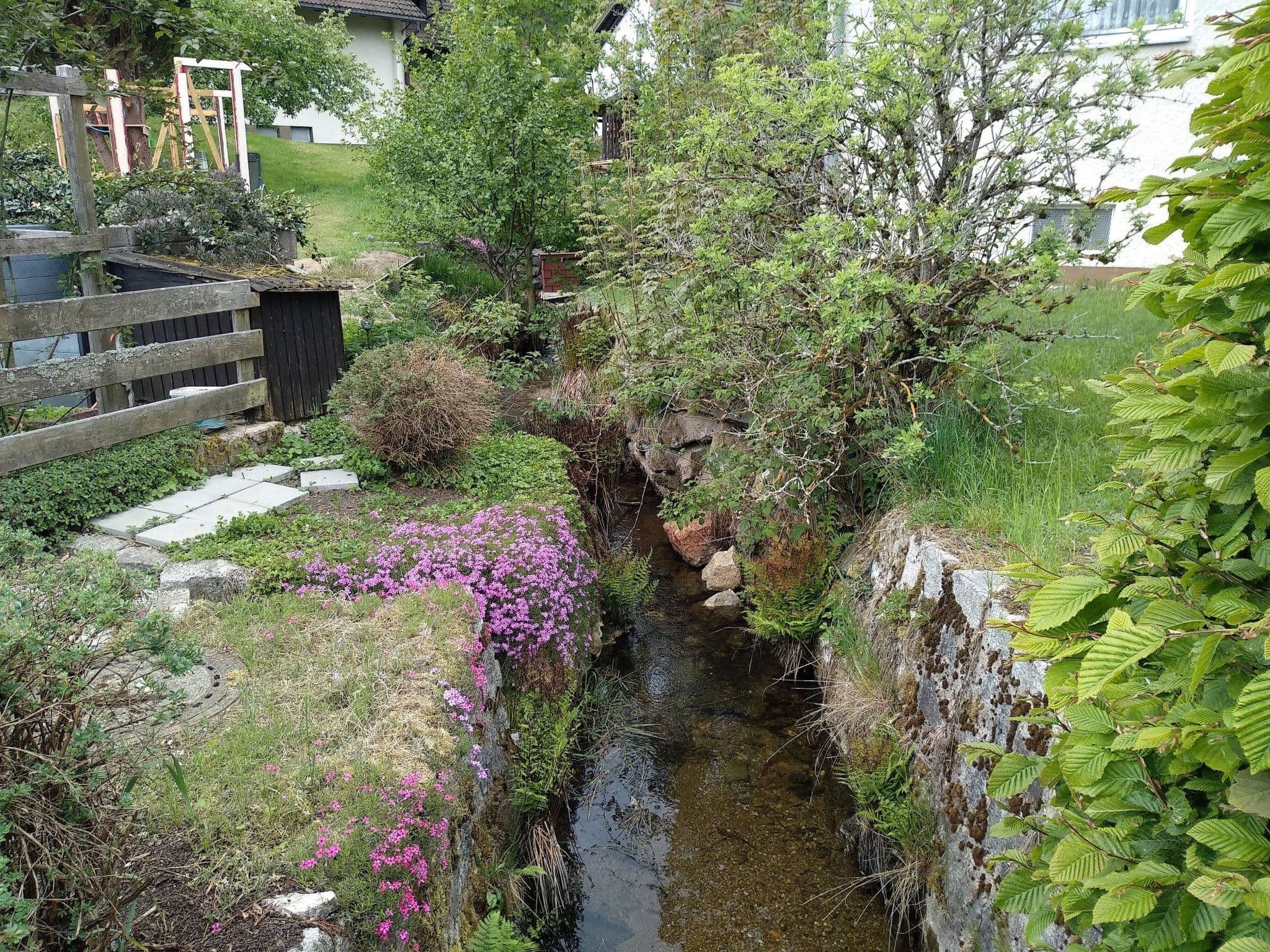 Gallery Image 27