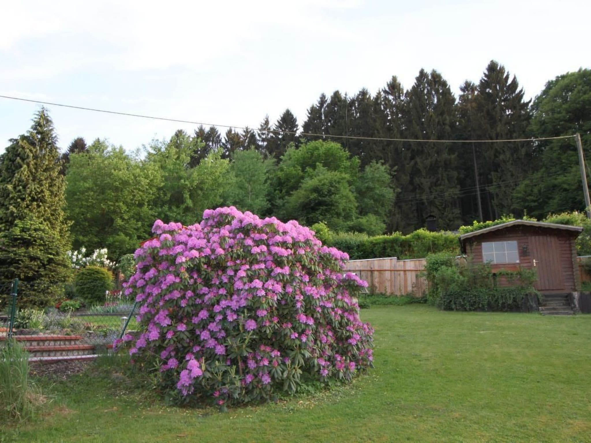Gallery Image 15