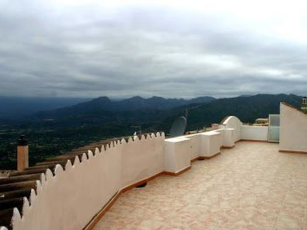 Large Image