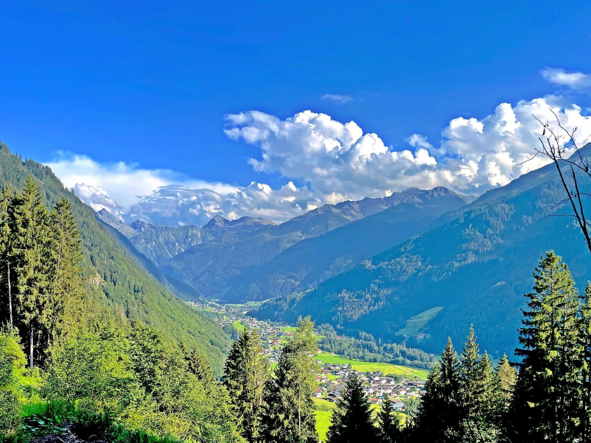 View
