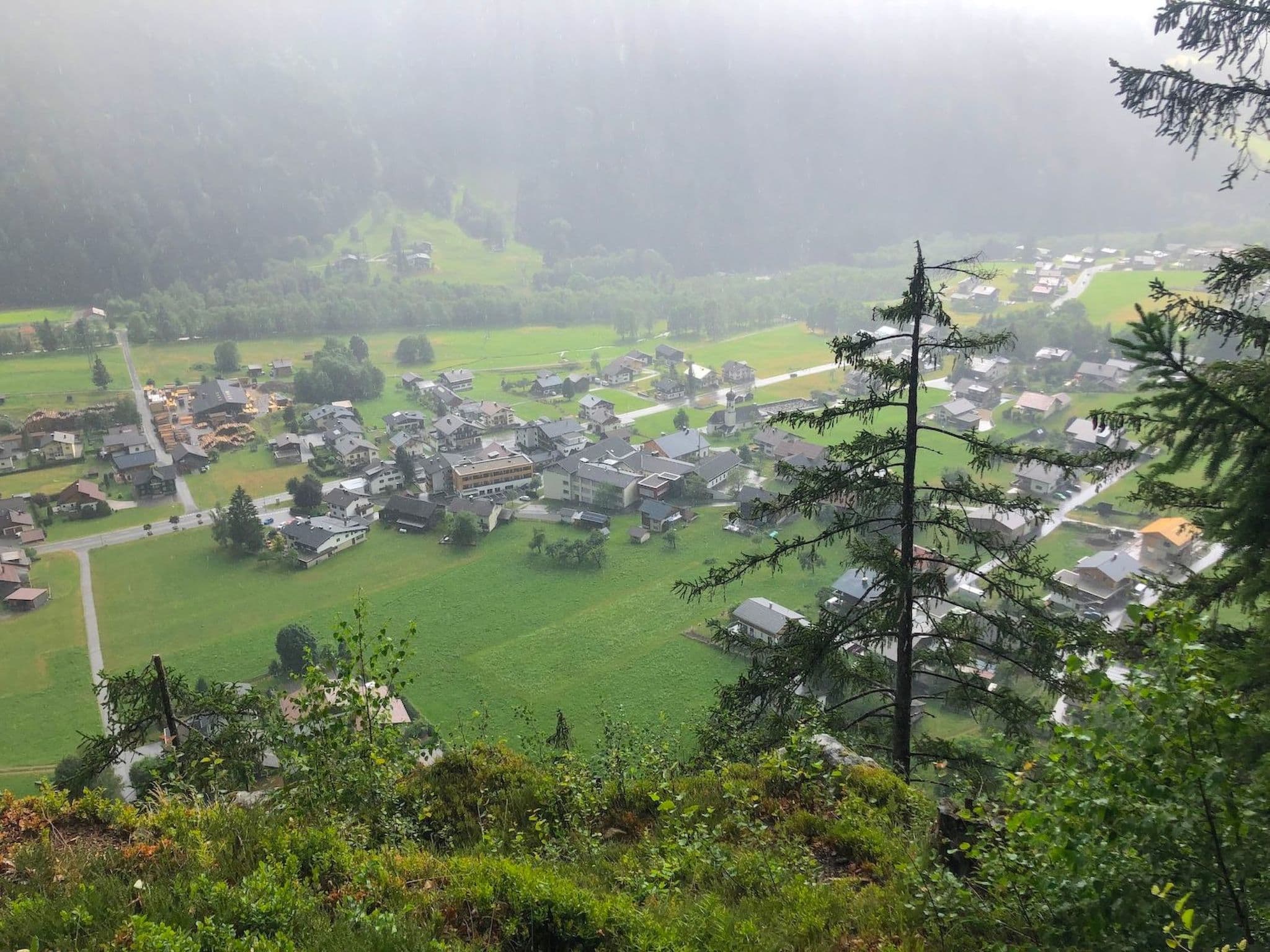 View