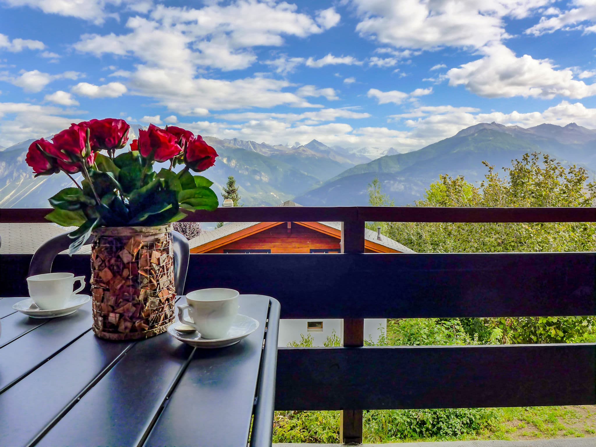 View