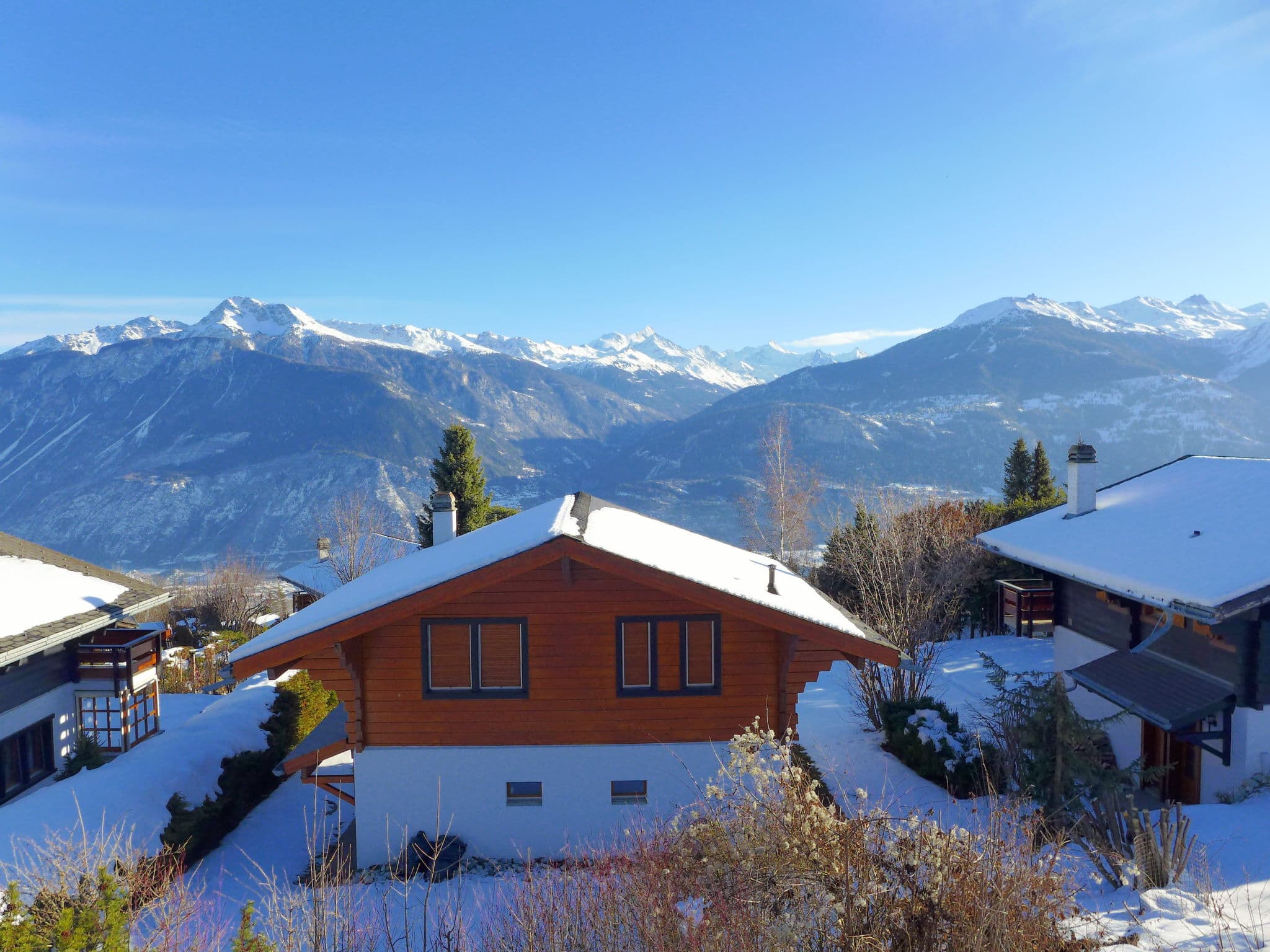 View