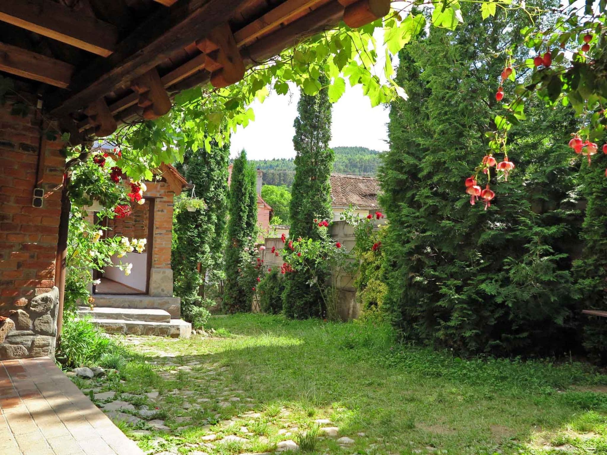 Gallery Image 32