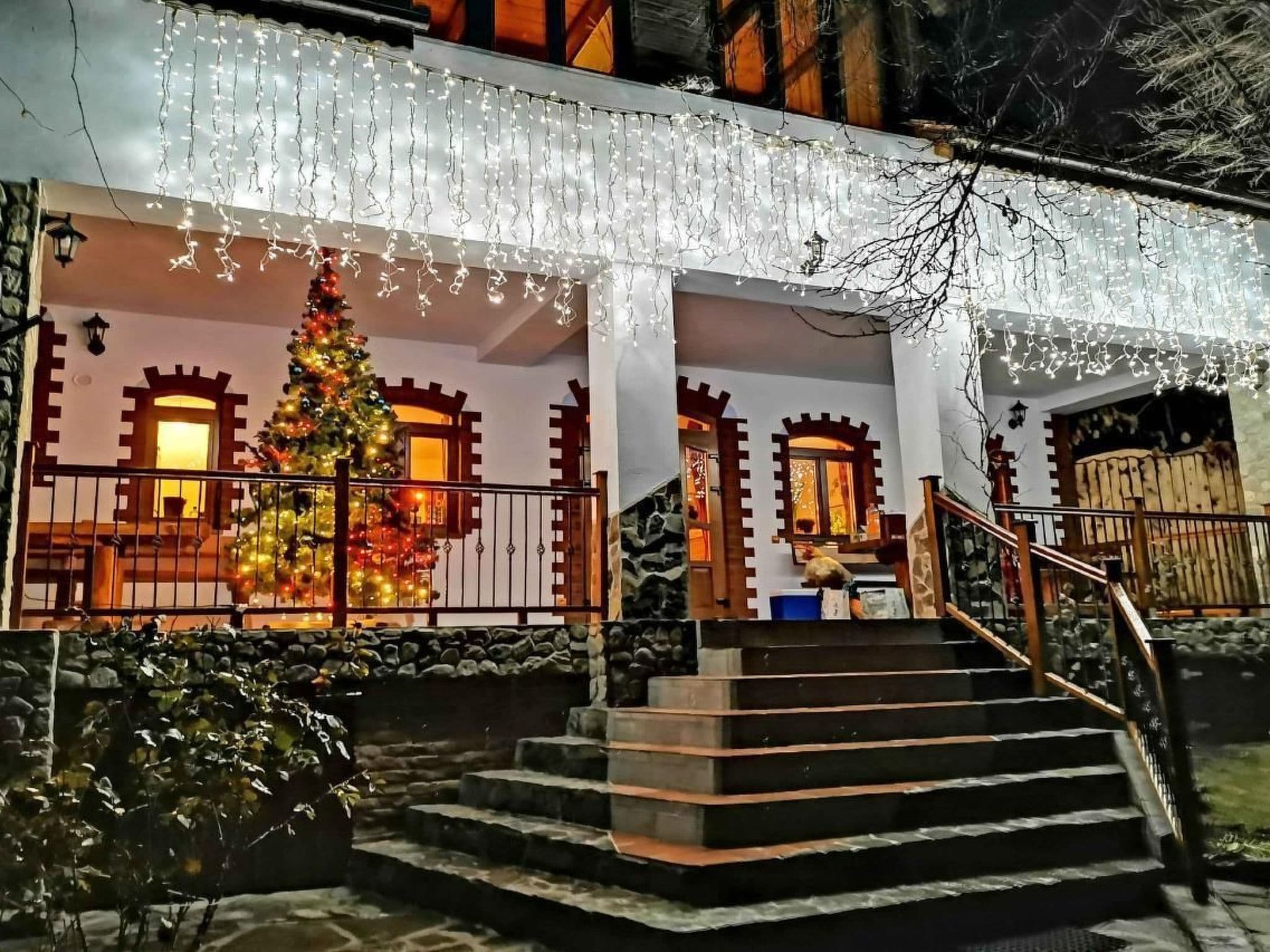 Gallery Image 37