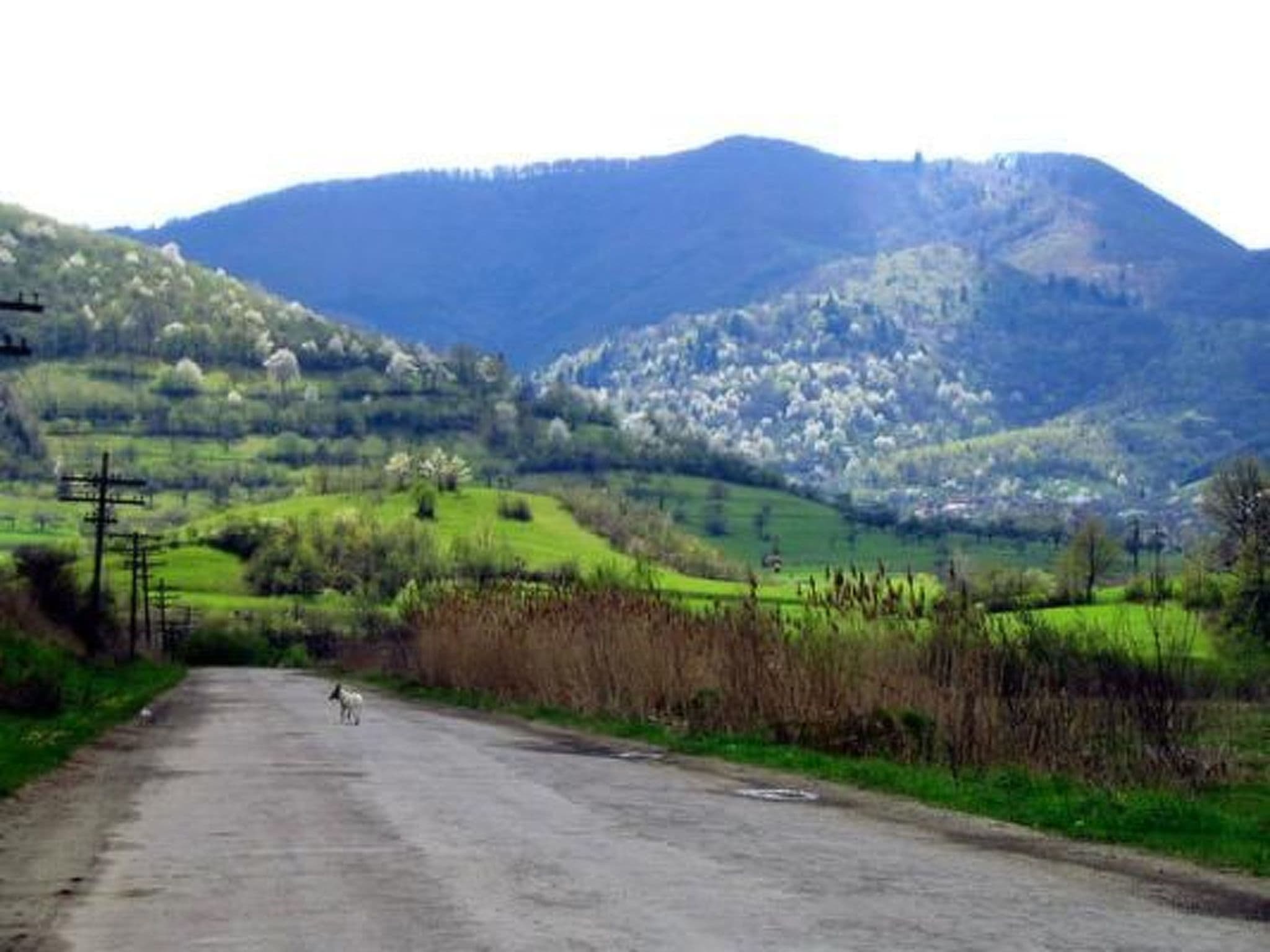 View