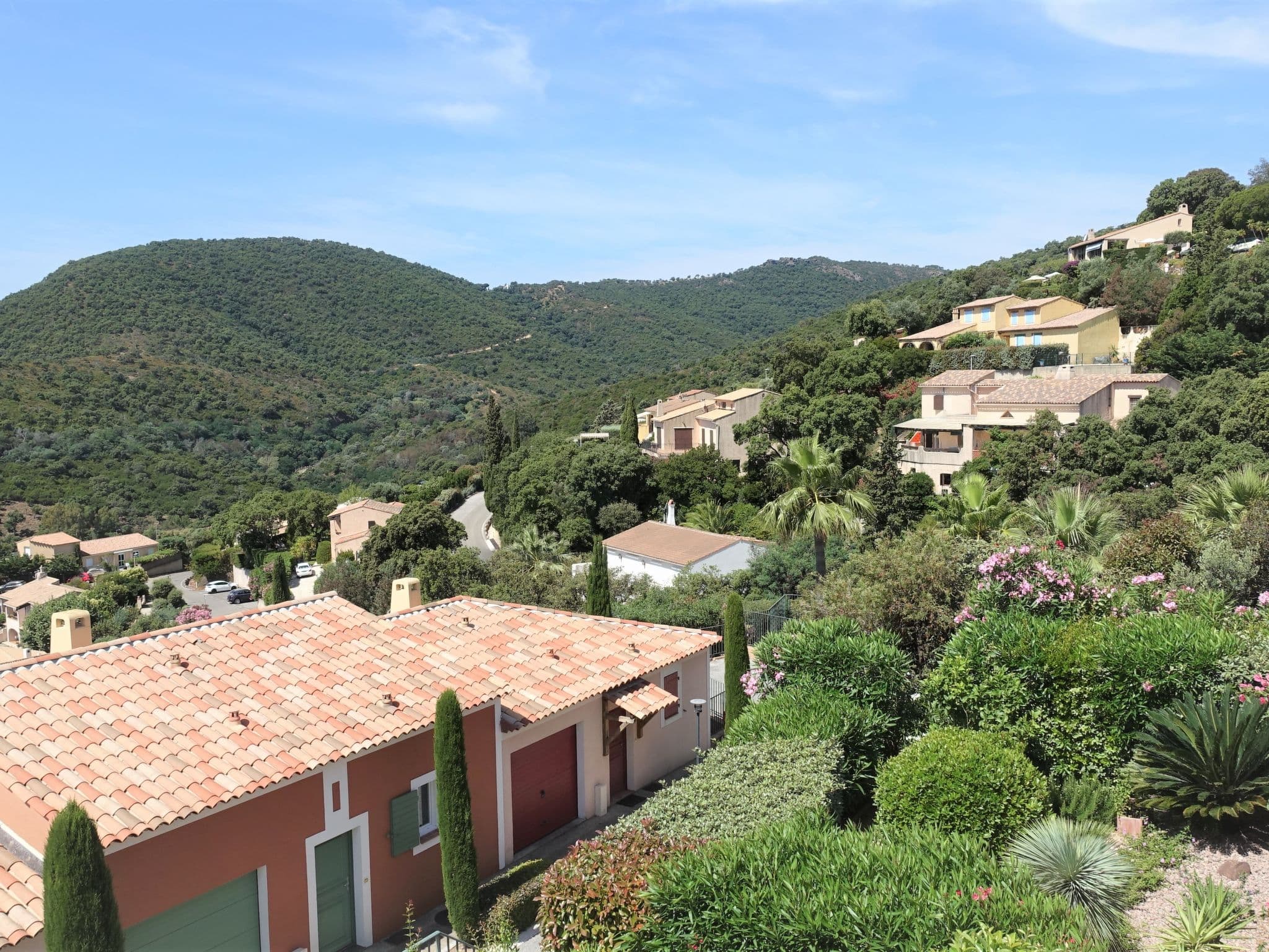 View