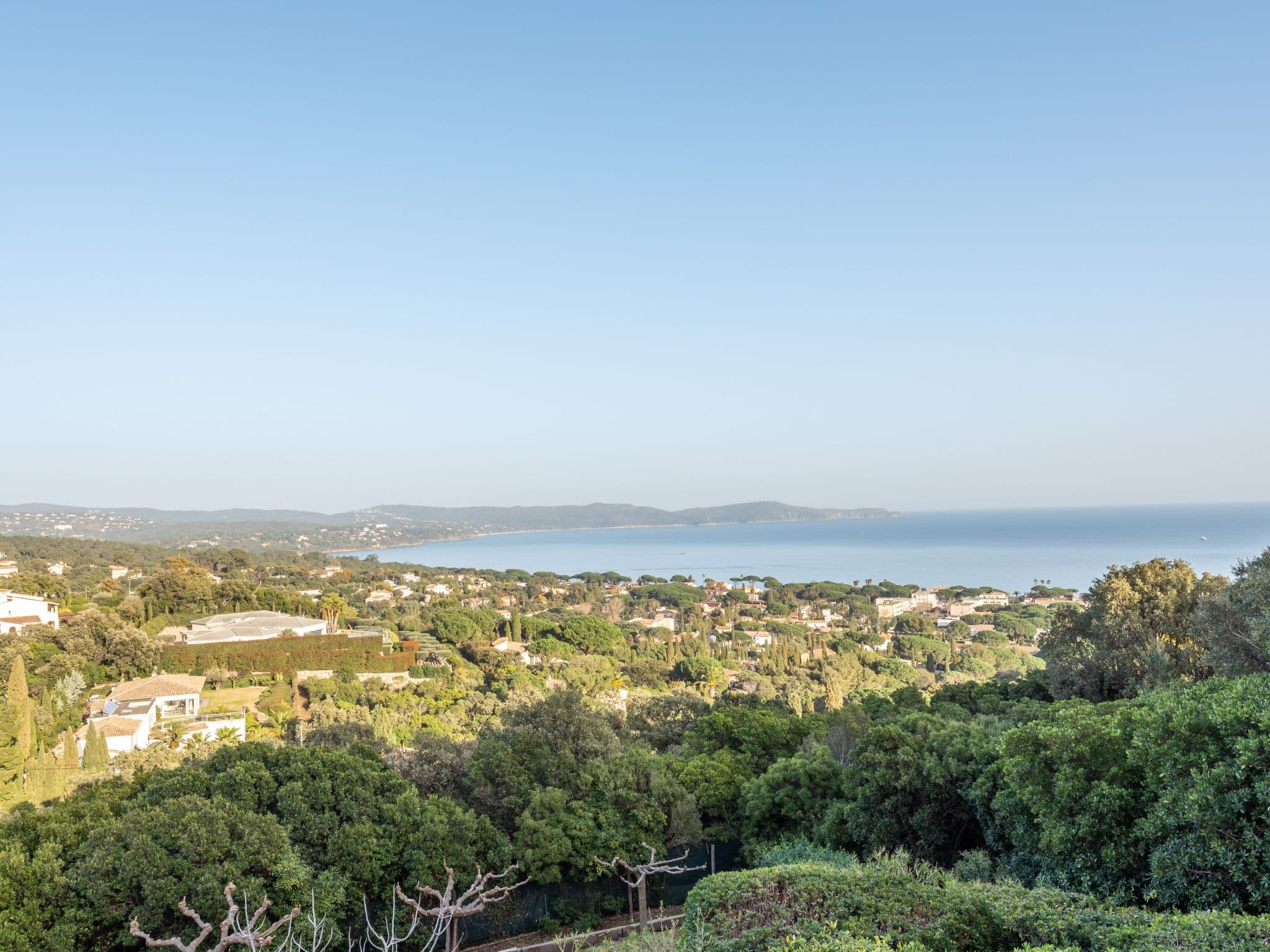 View