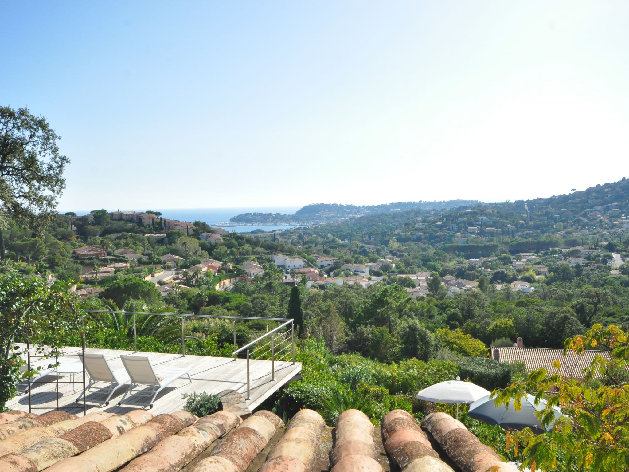 View