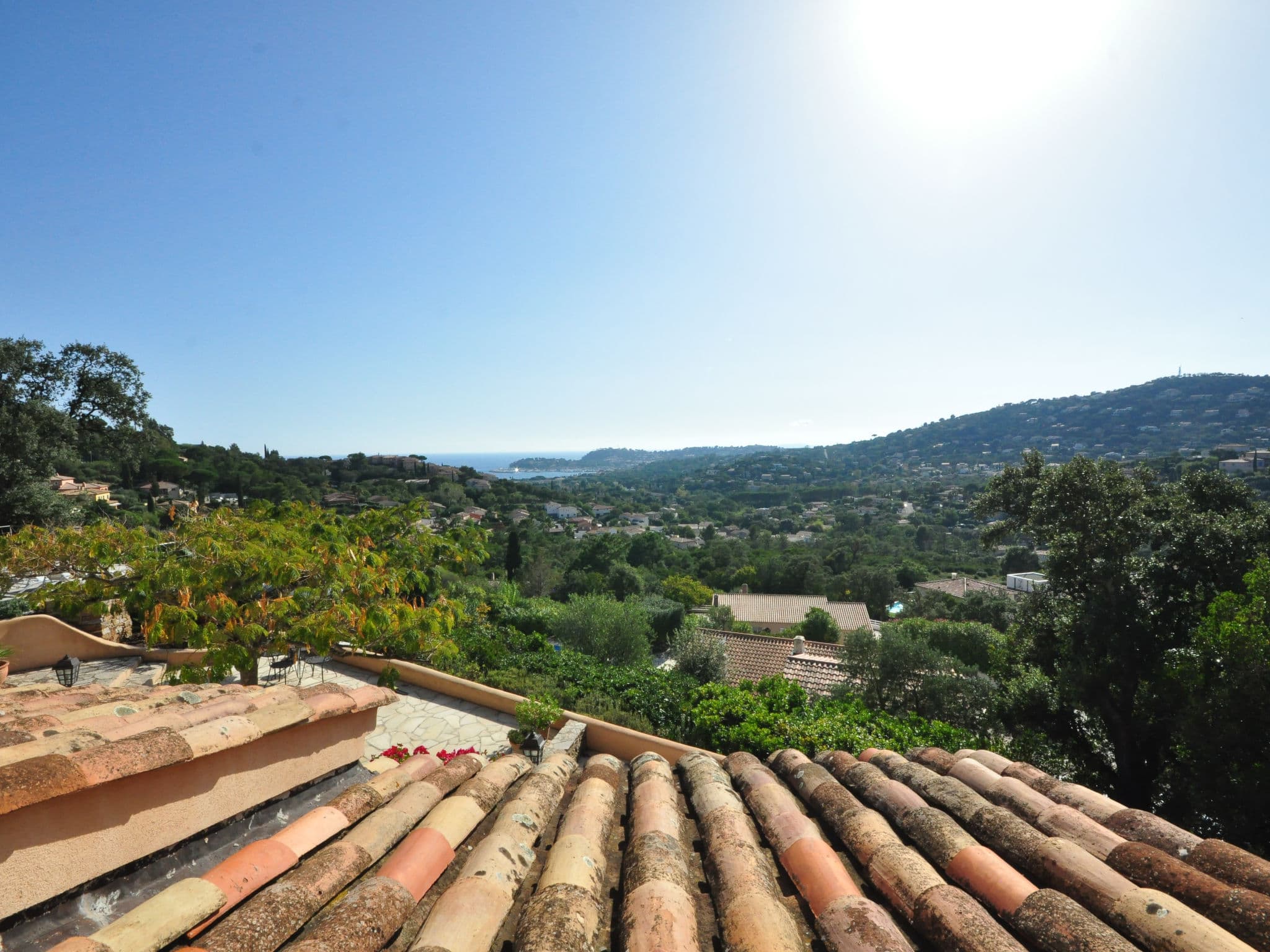 View