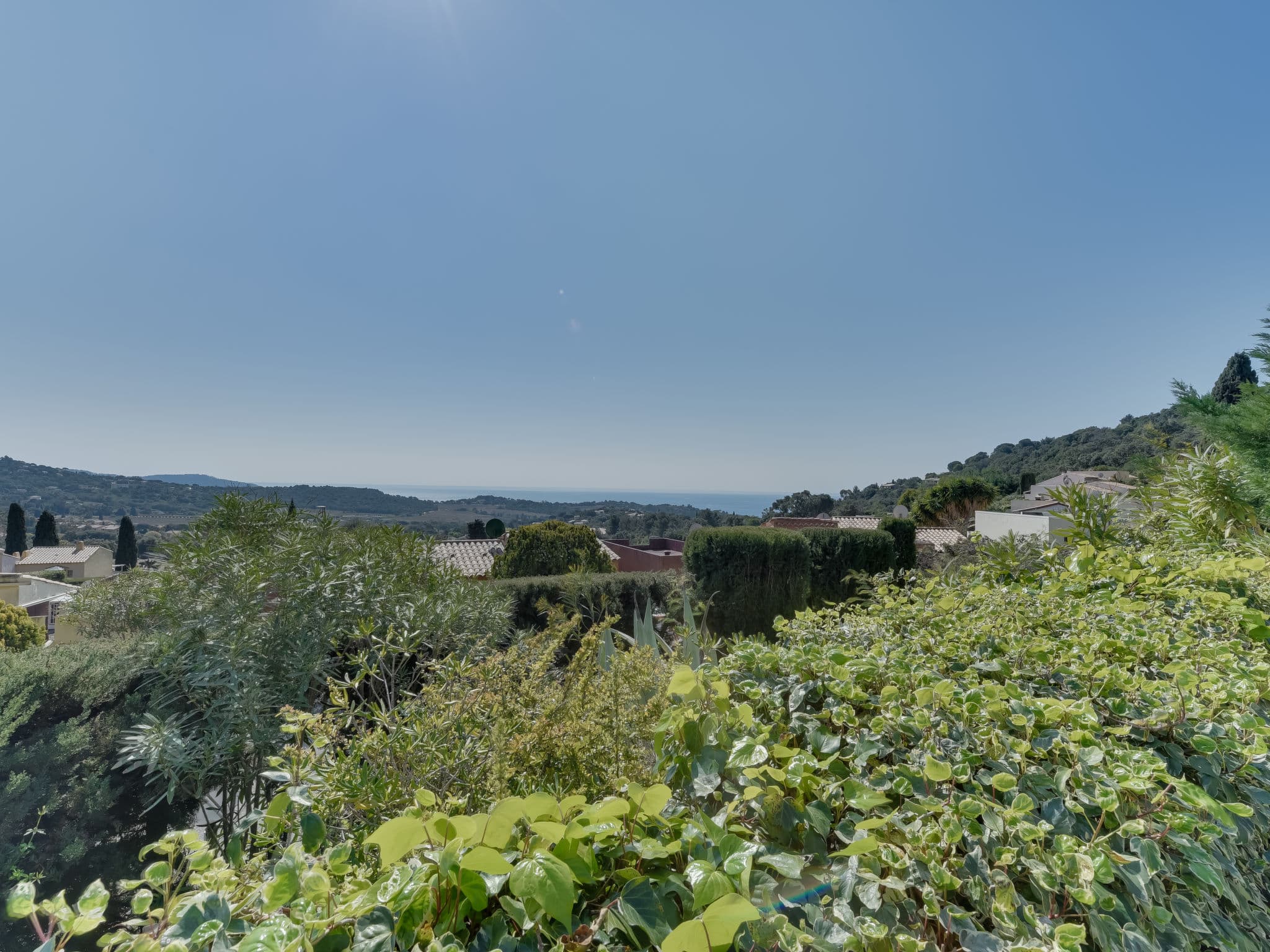 View