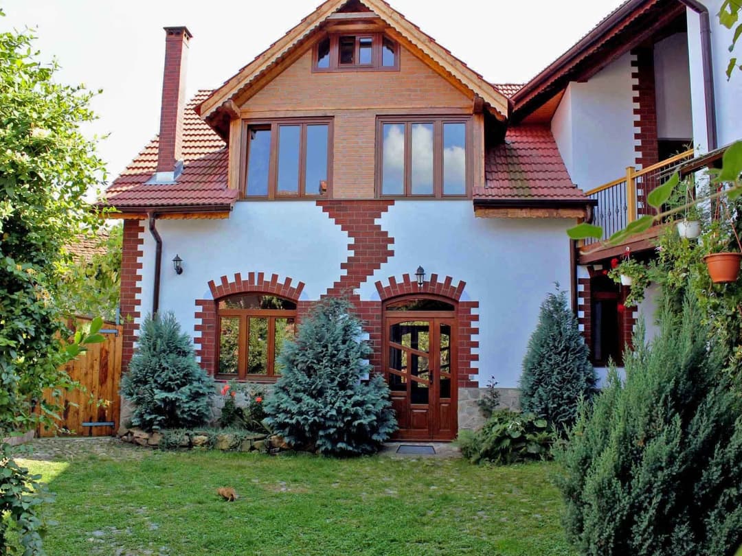 Large Image