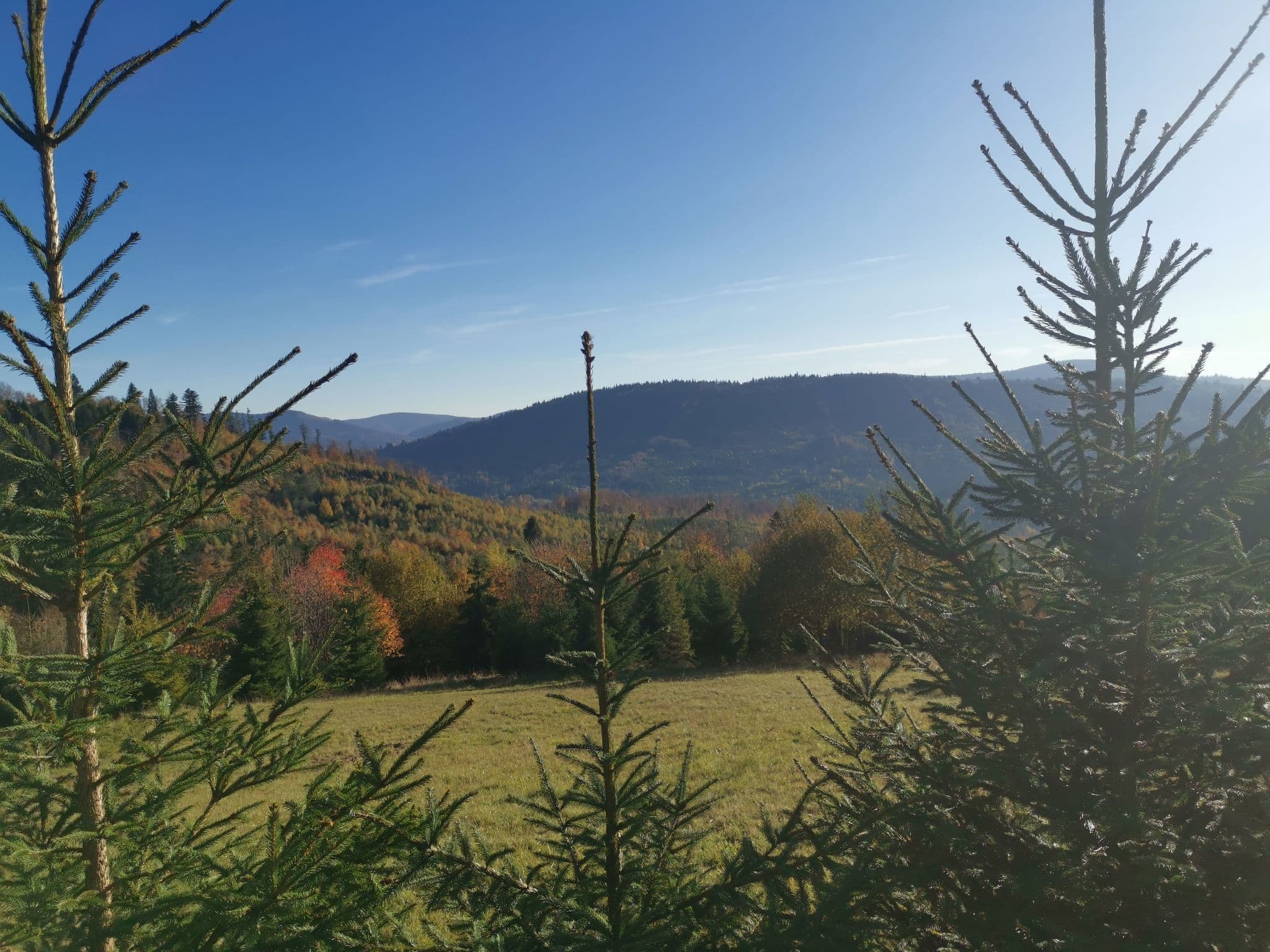 View