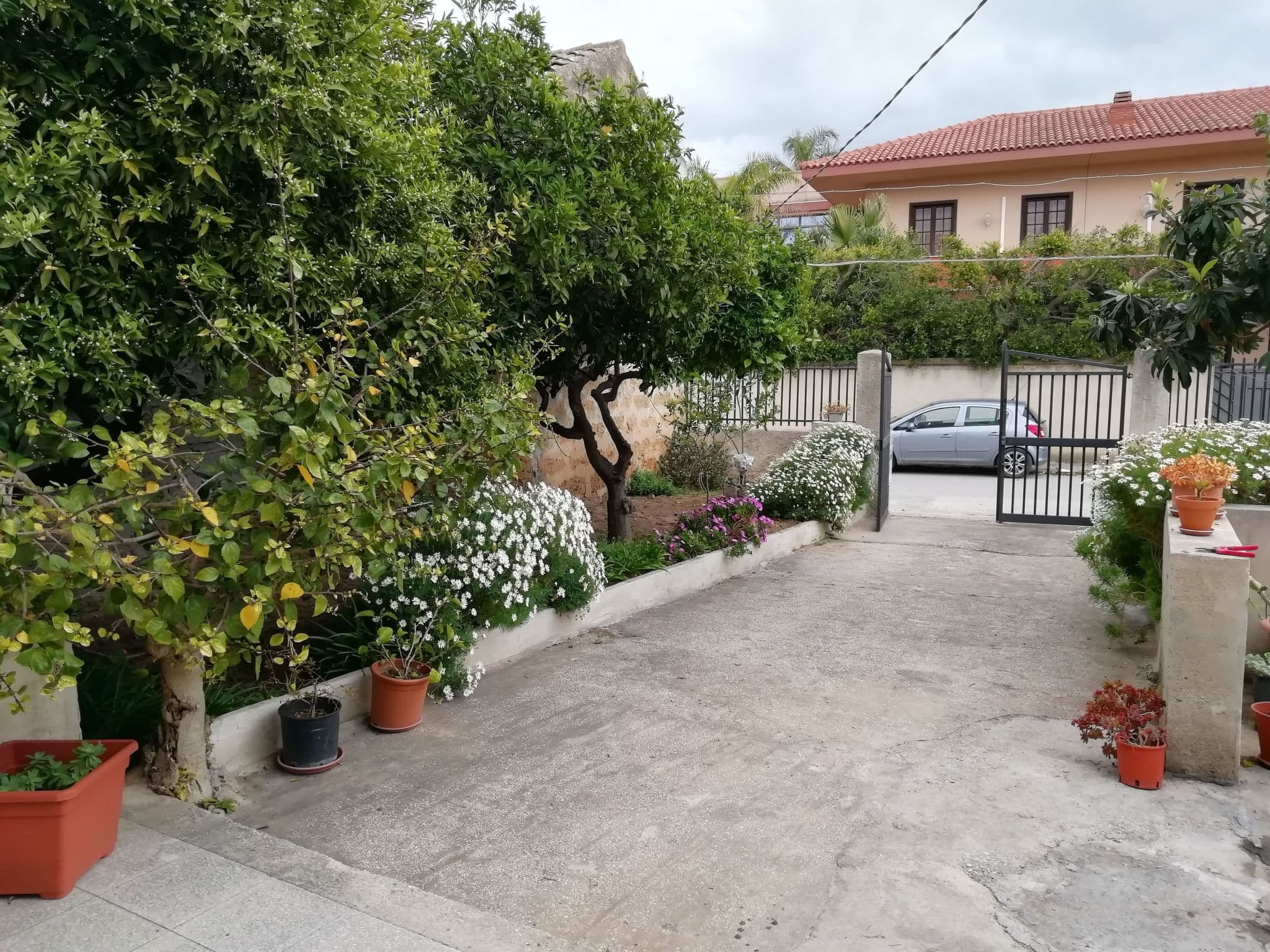 Gallery Image 14