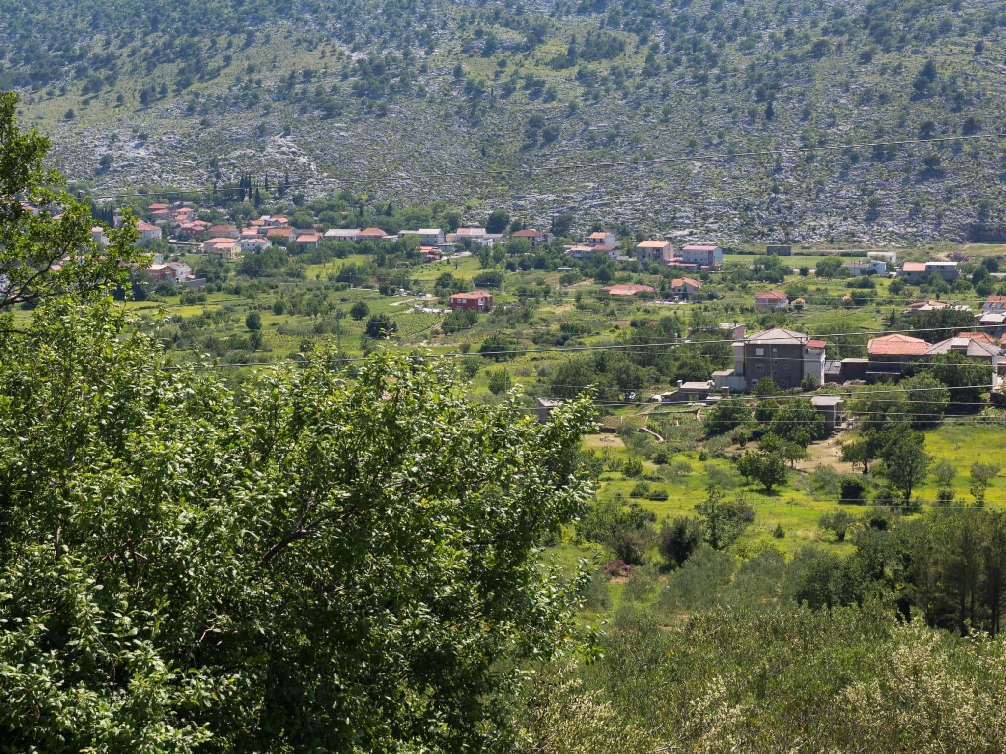 View