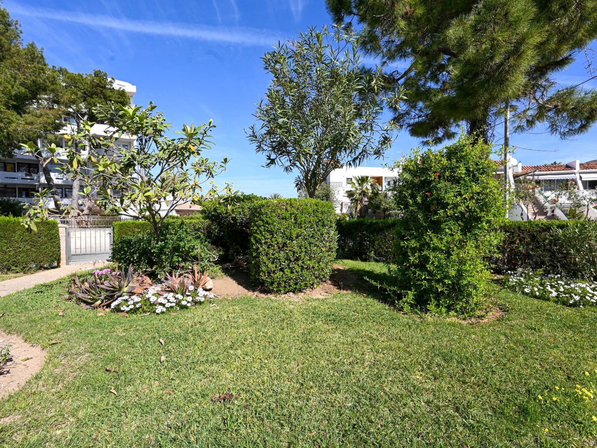 Gallery Image 18