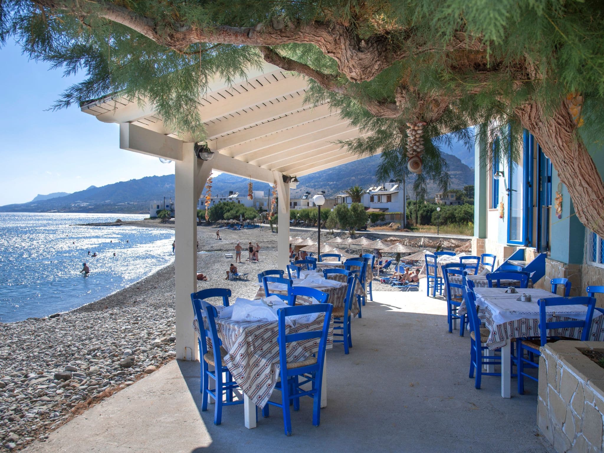 Terrace