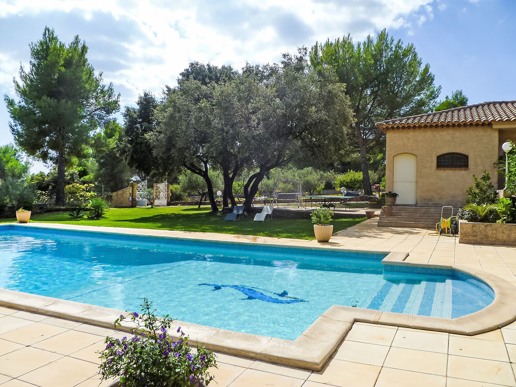 Pool Outdoor
