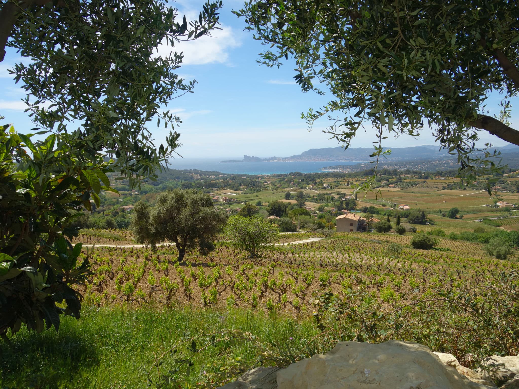 View