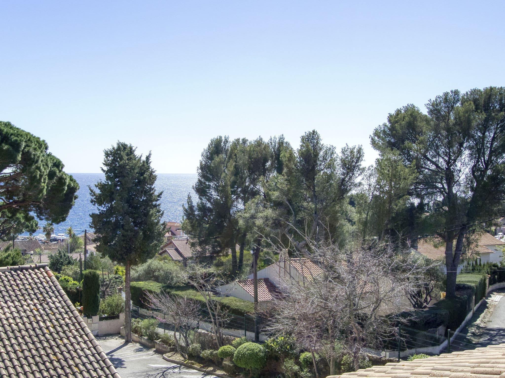 View