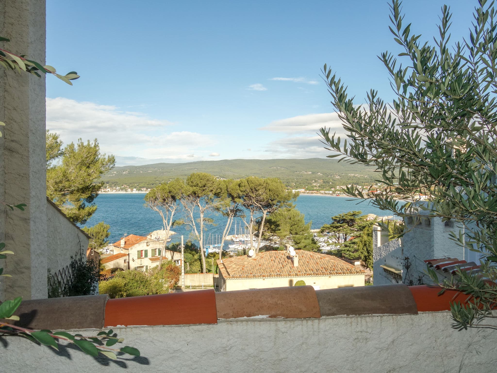 View