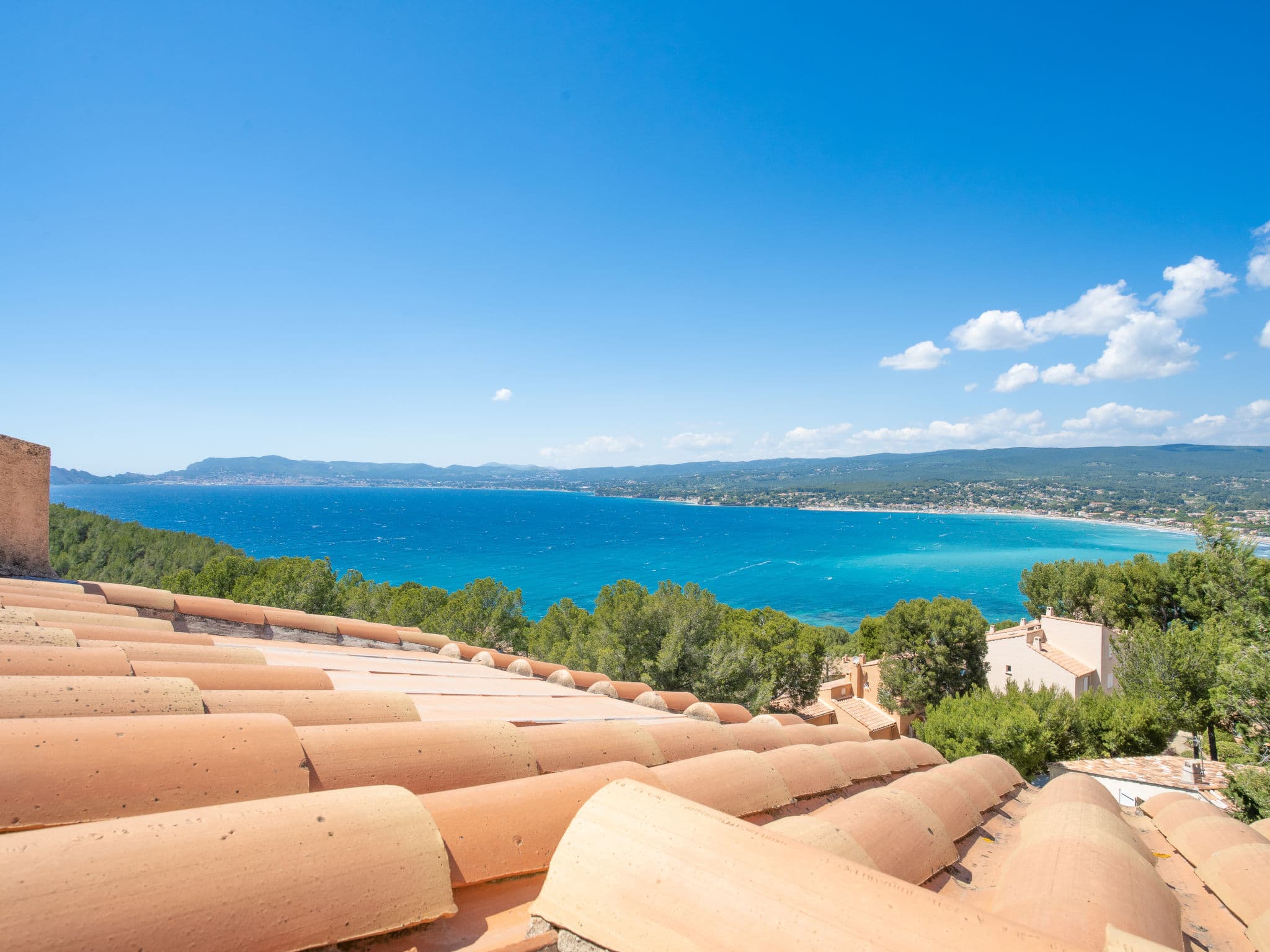 View