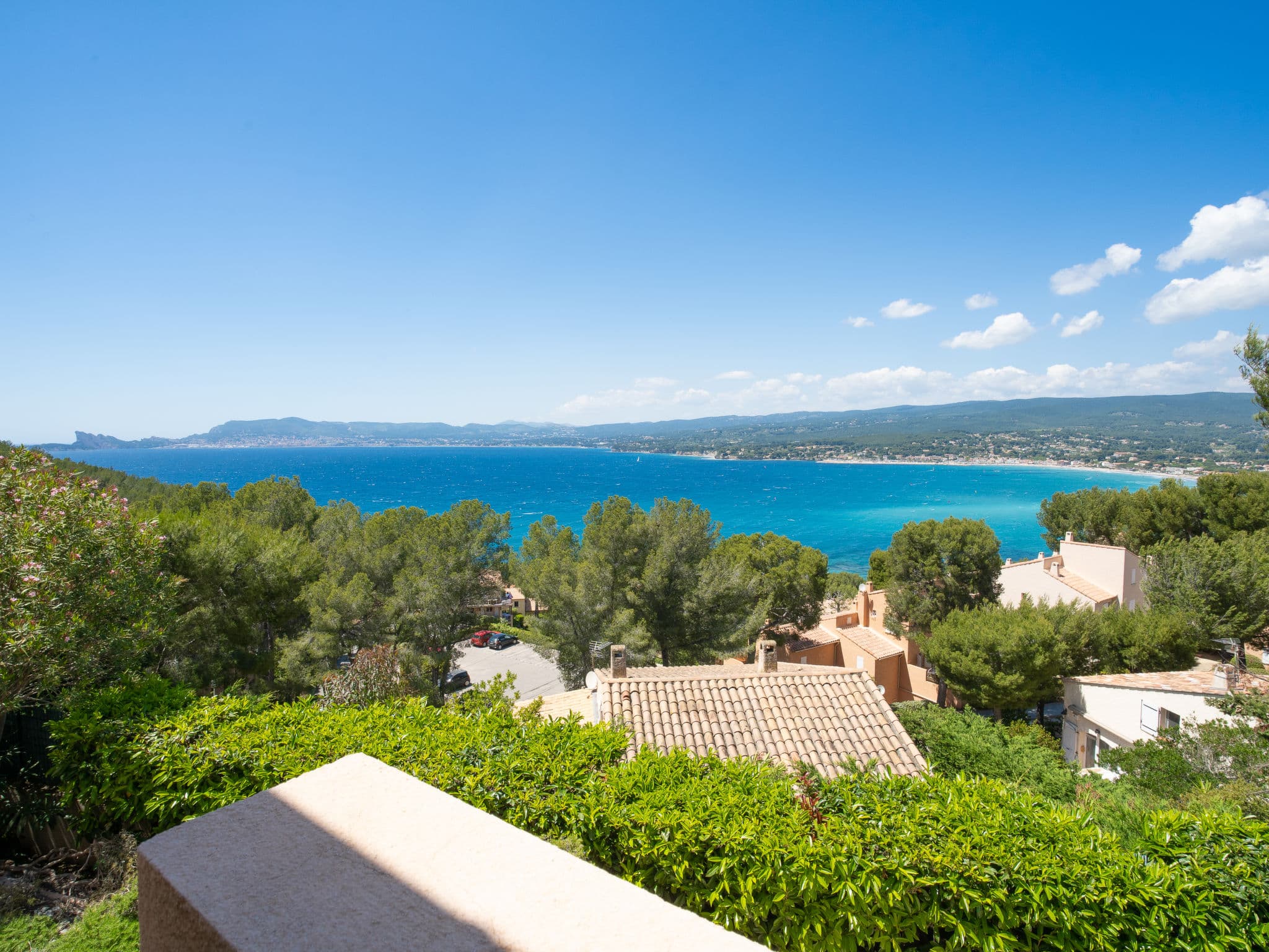 View