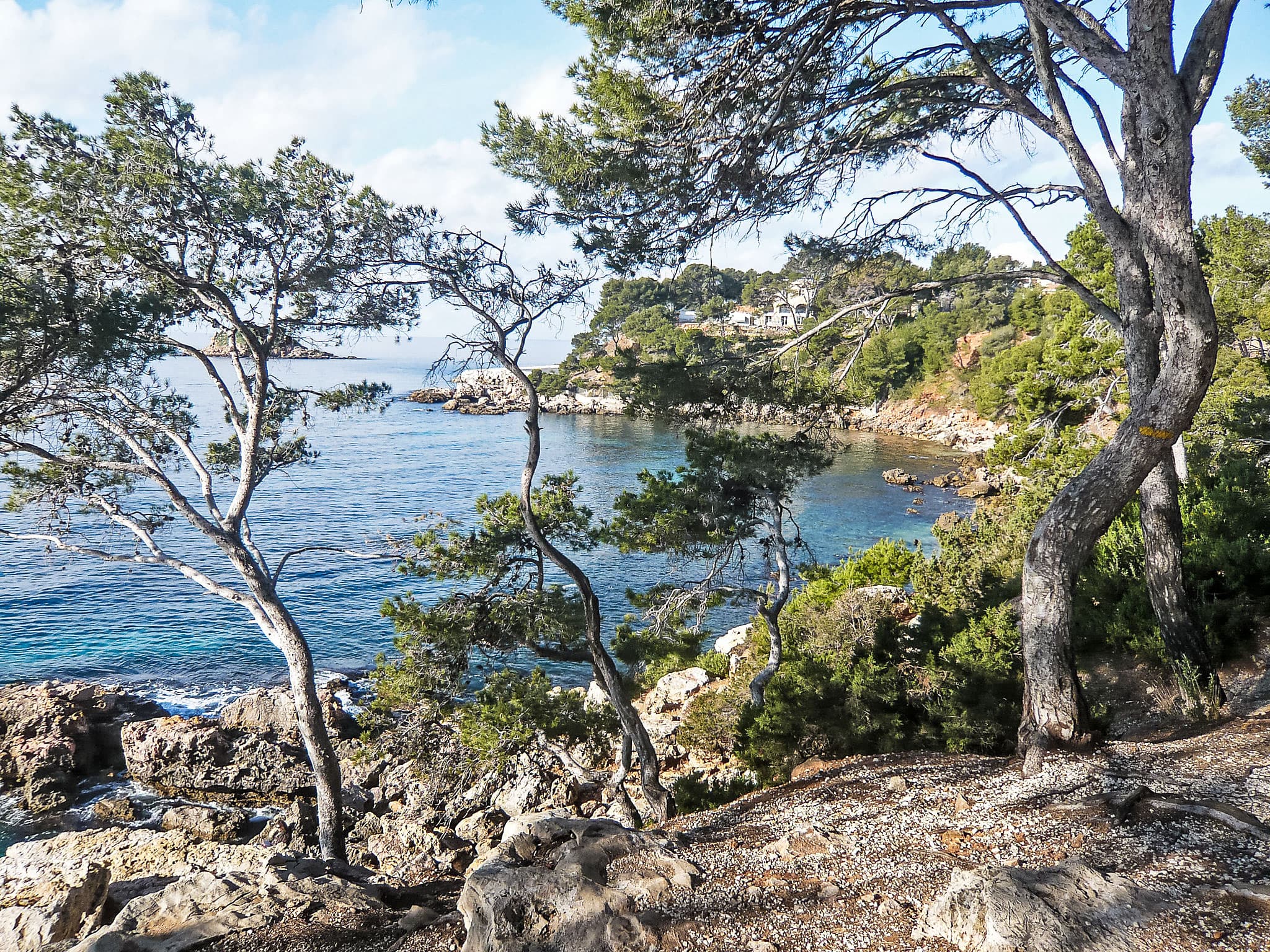 View