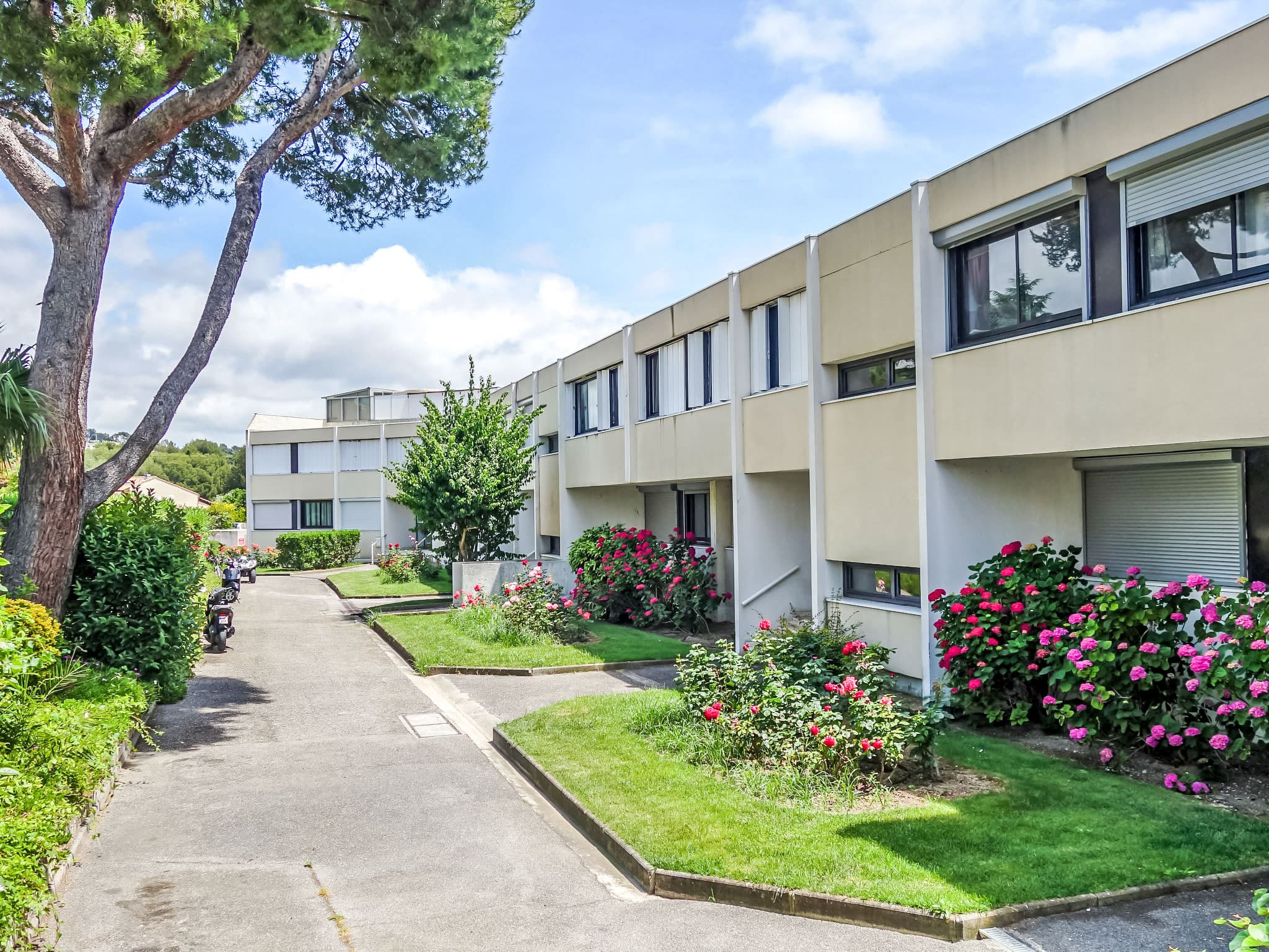 House