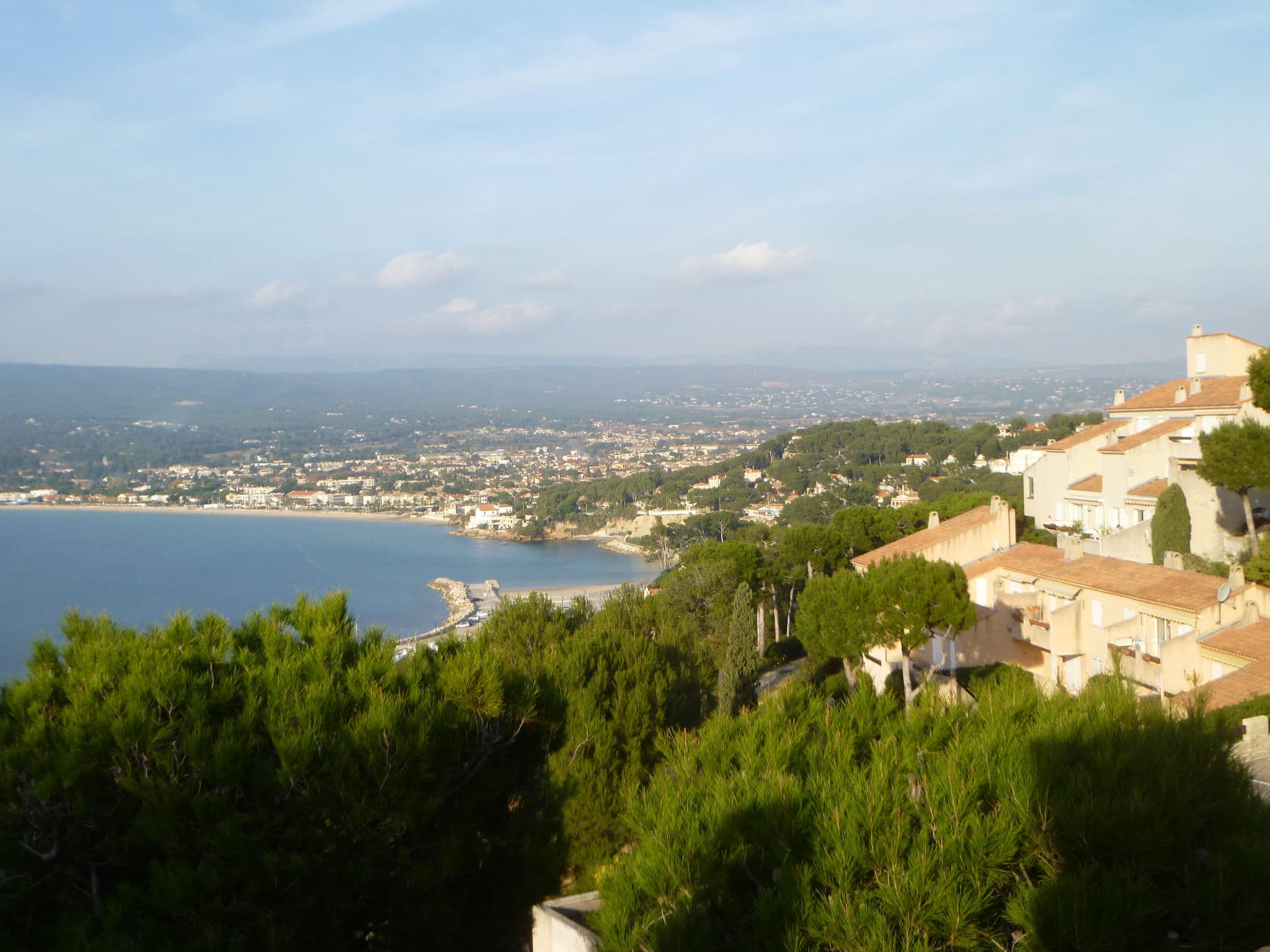 View