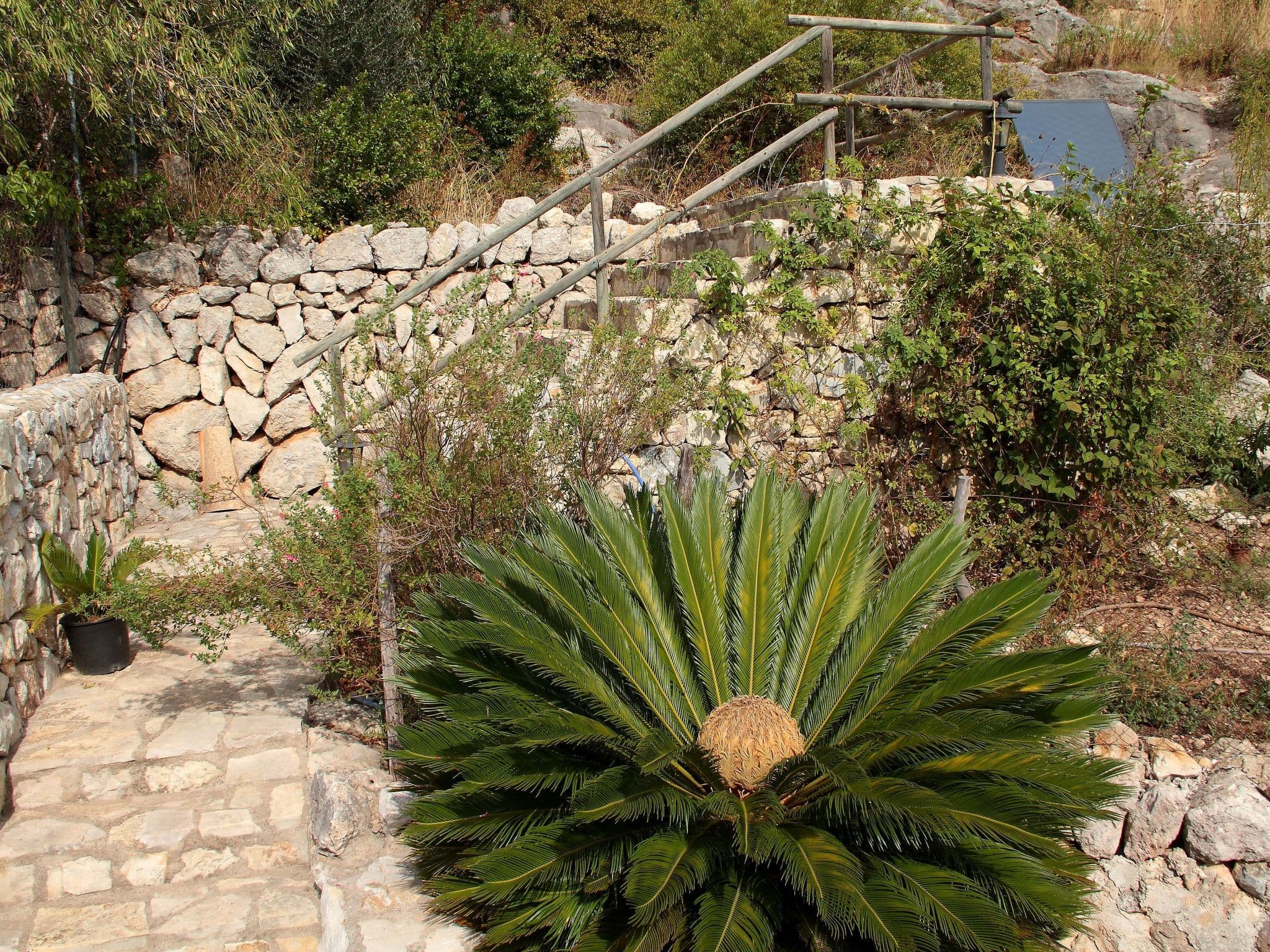 Gallery Image 27